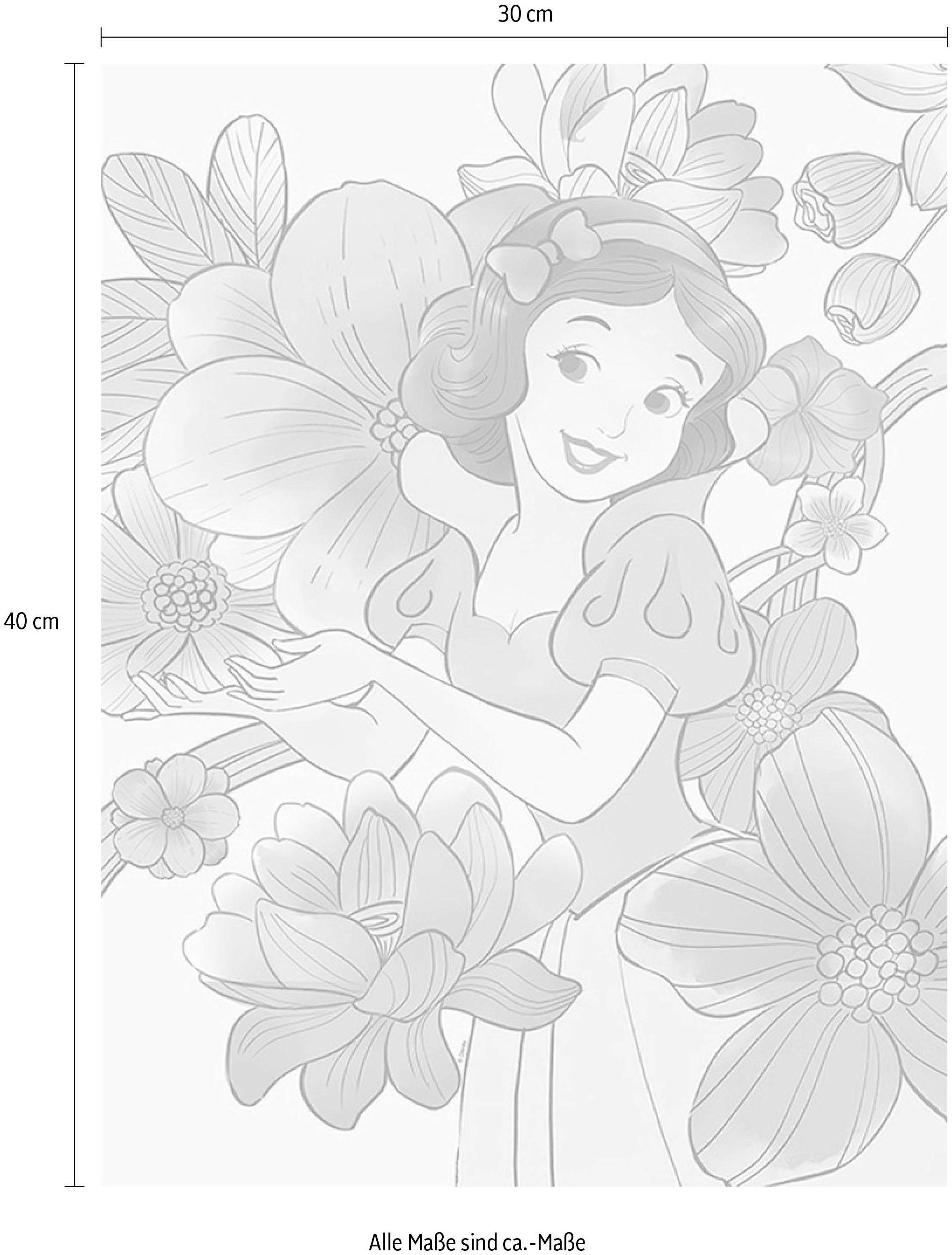 ✵ Komar Poster »Snow White Flowers«, Disney, (1 St.), Kinderzimmer,  Schlafzimmer, Wohnzimmer online entdecken | Jelmoli-Versand