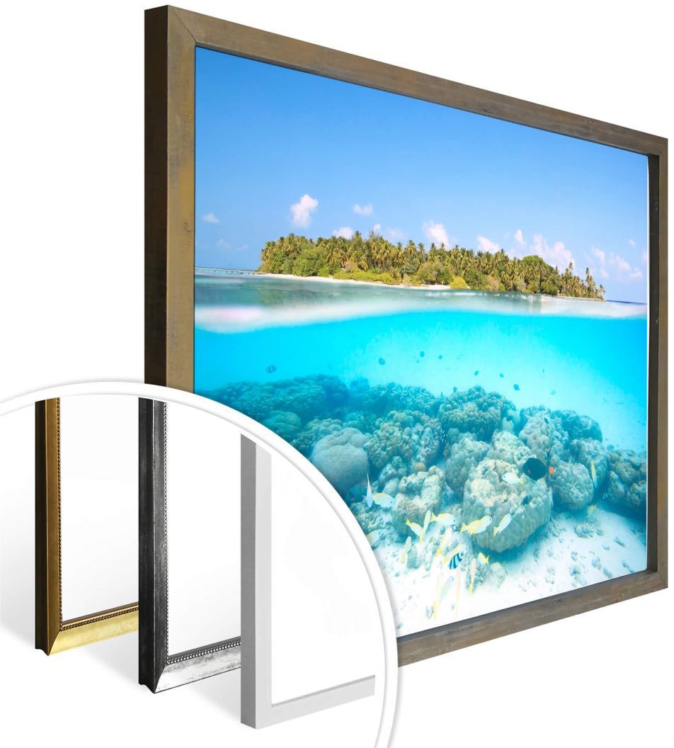 Wall-Art Poster »Unterwasserwelt Bild, kaufen Meer, (1 | online St.), Poster, Wandposter Jelmoli-Versand Wandbild, Malediven«