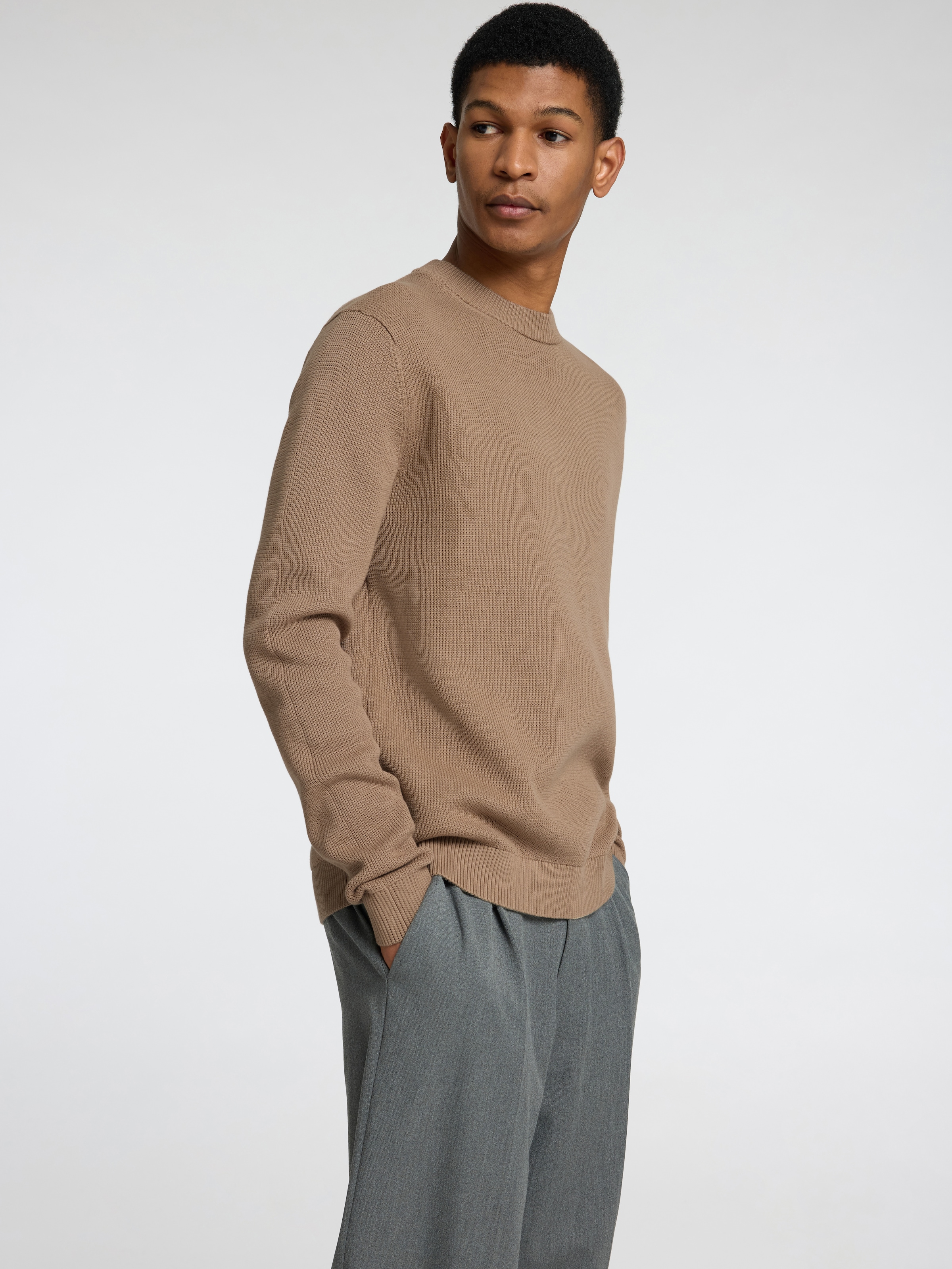 SELECTED HOMME Rundhalspullover »SLHDANE LS KNIT STRUCTURE CREW NECK NOOS«