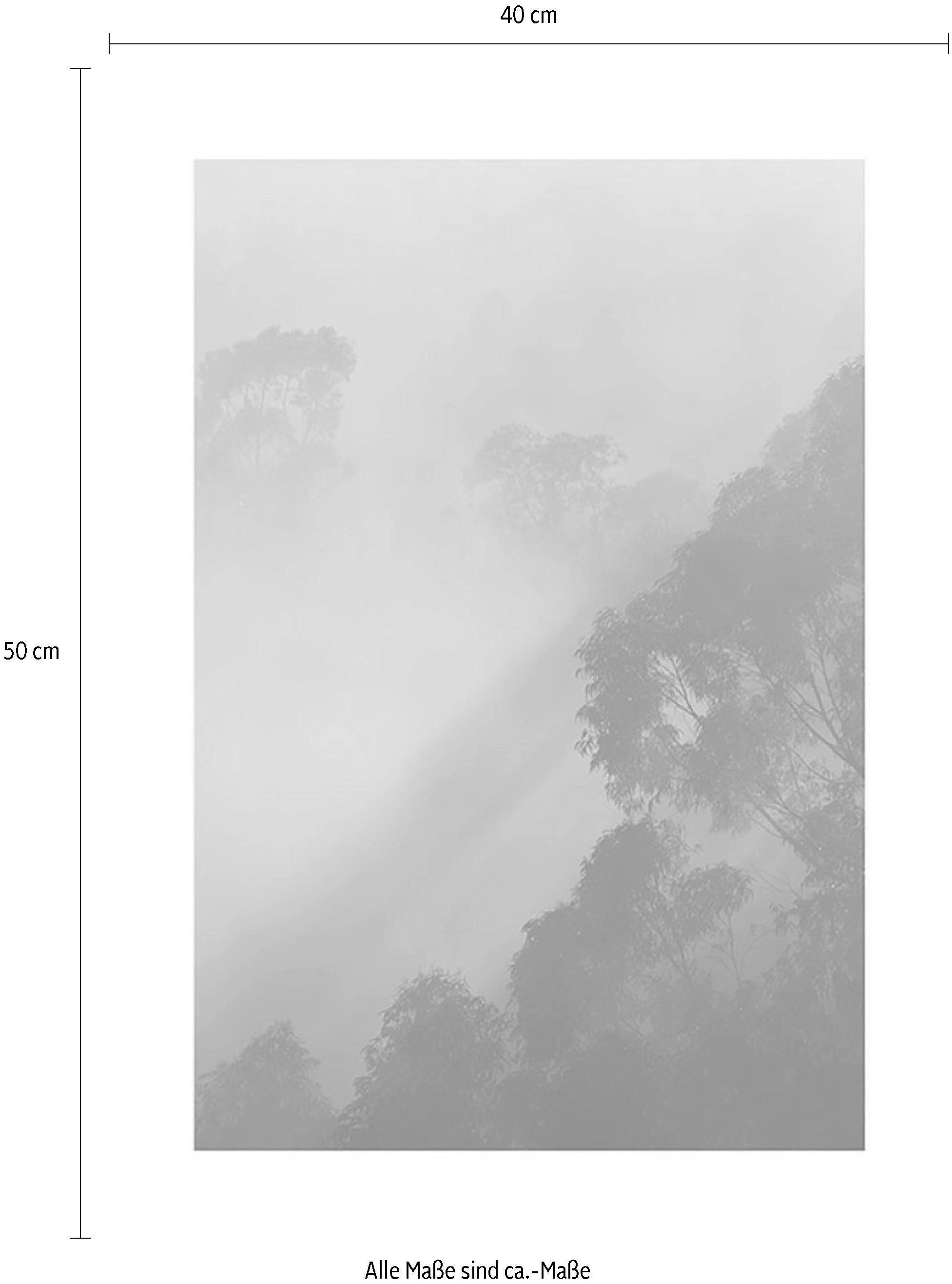Komar Bild »Golden Light«, Natur, (1 St.), Wandbild zur Dekoration - ohne Rahmen
