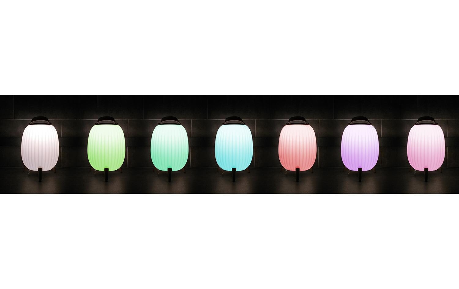 LED Laterne »ezilight Ambiant M,«