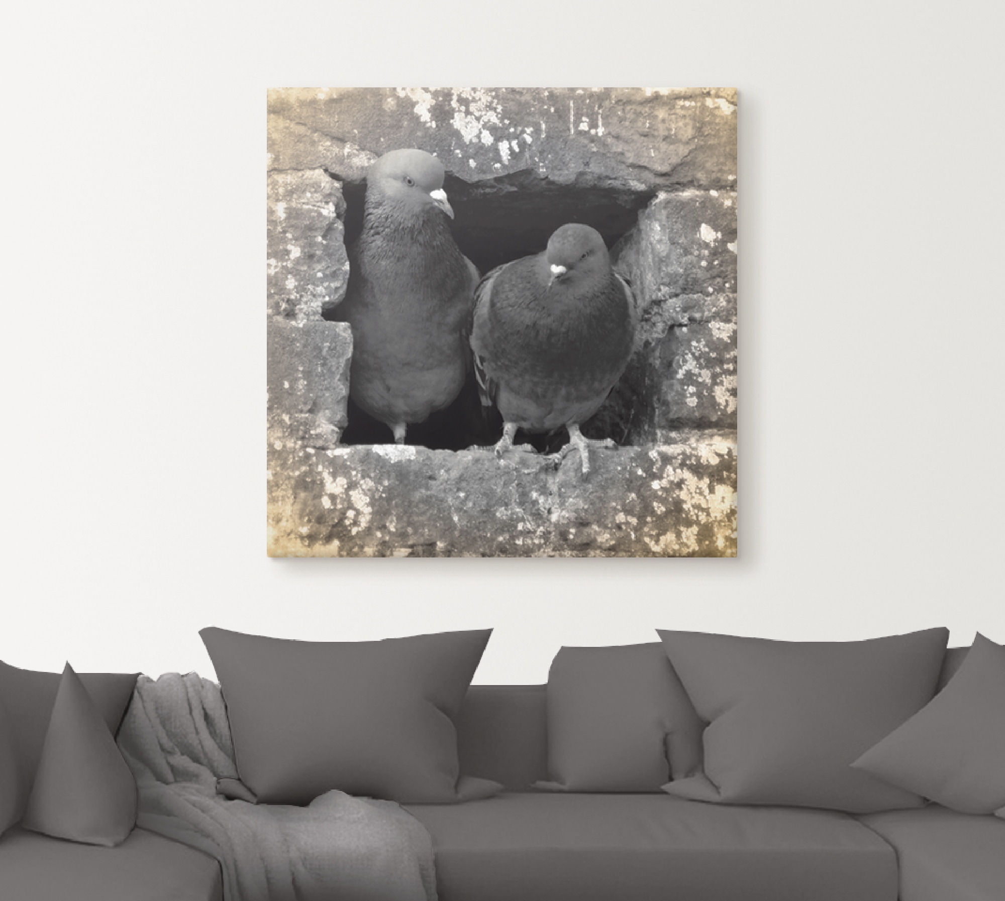 Artland Wandbild »Tauben Liebe«, Vögel, (1 St.), als Alubild, Leinwandbild,  Wandaufkleber oder Poster in versch. Grössen online bestellen |  Jelmoli-Versand