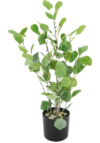 Kunstbaum »Eukalyptus im Topf künstlich Eukalyptusbaum Pflanze Dekobaum«