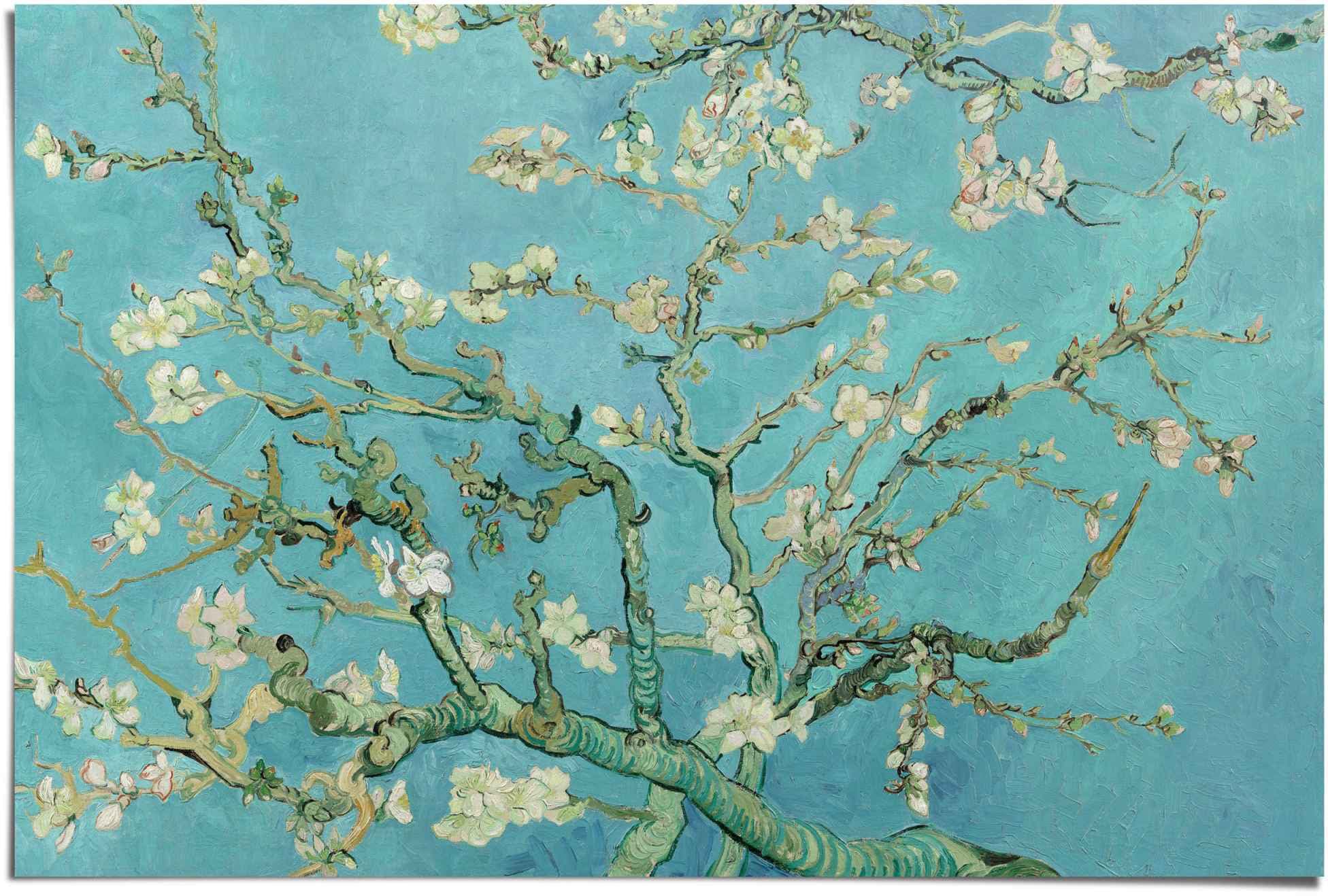 van Mandelblüte Poster Reinders! Gogh«, Jelmoli-Online ❤ St.) »Poster Blumen, Shop entdecken (1 Vincent im