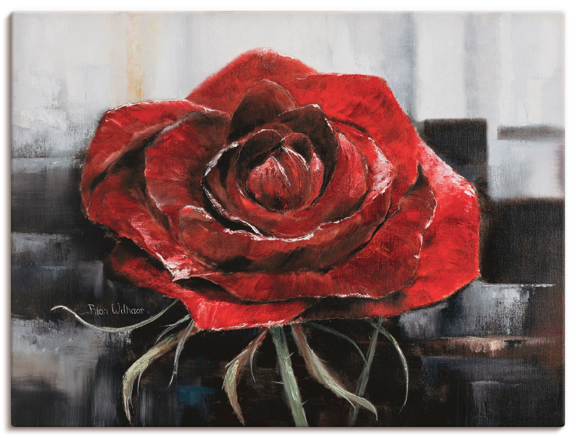Artland Wandbild »Blühende rote Rose«, Blumen, (1 St.), als Leinwandbild,  Poster, Wandaufkleber in verschied. Grössen online kaufen | Jelmoli-Versand