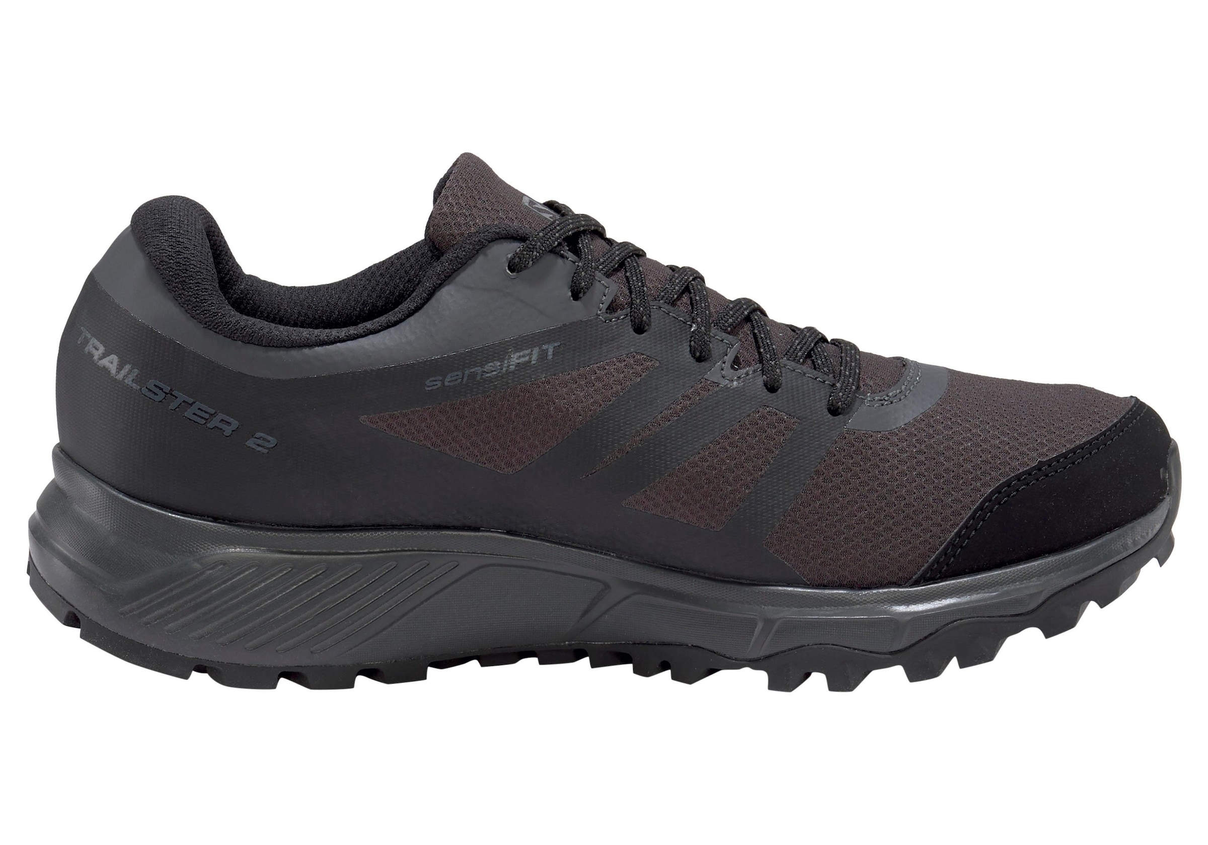 Salomon Trailrunningschuh »TRAILSTER 2 GORETEX®«, wasserdicht online
