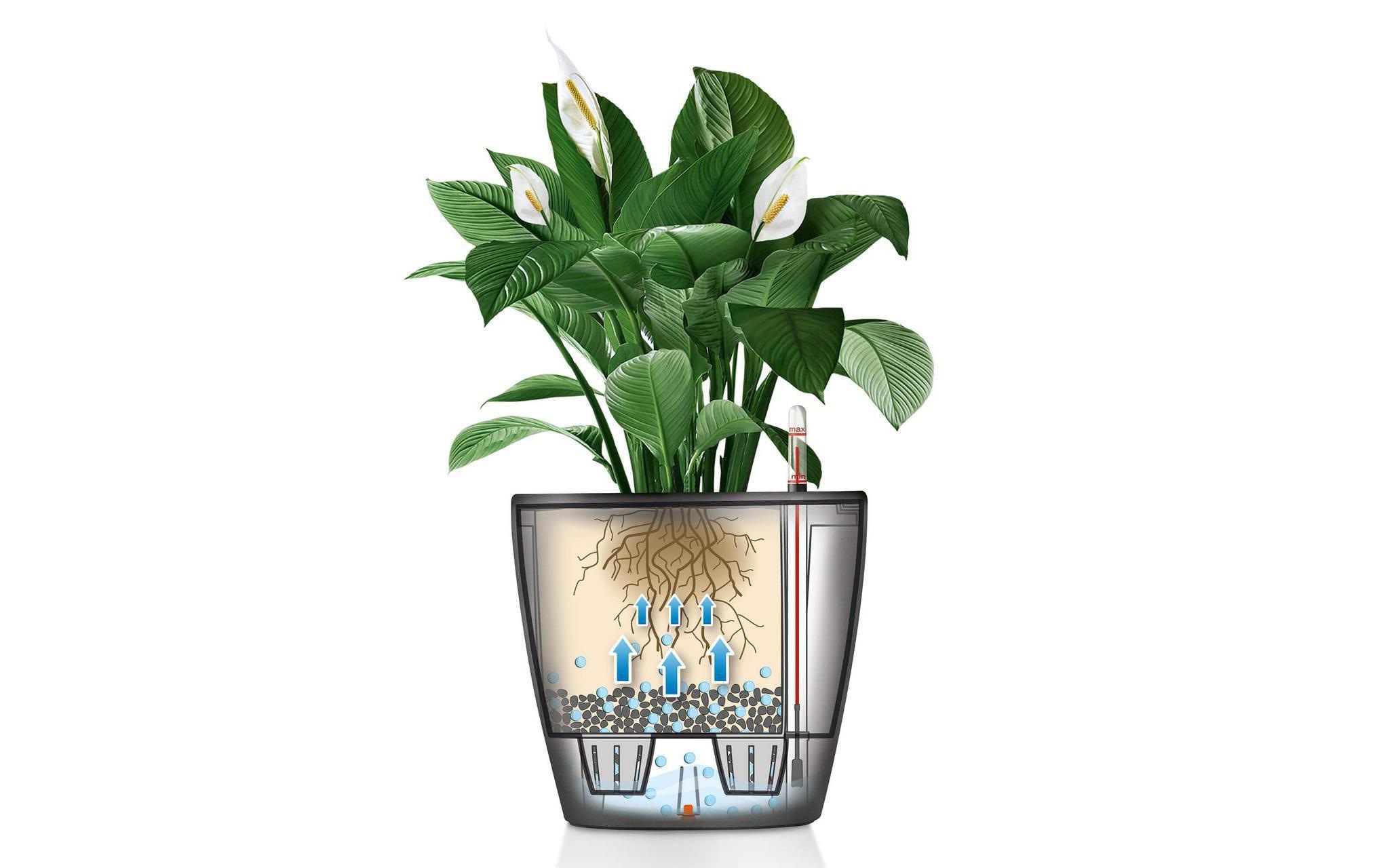 Blumentopf »Lechuza Pflanzentopf Classico Premi«, Material: Polycarbonat, Polypropylen