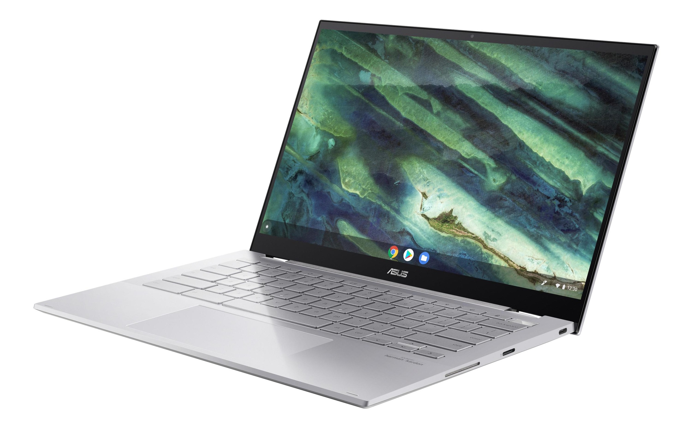 Asus Chromebook »Flip C436FA-E10221«, / 14 Zoll