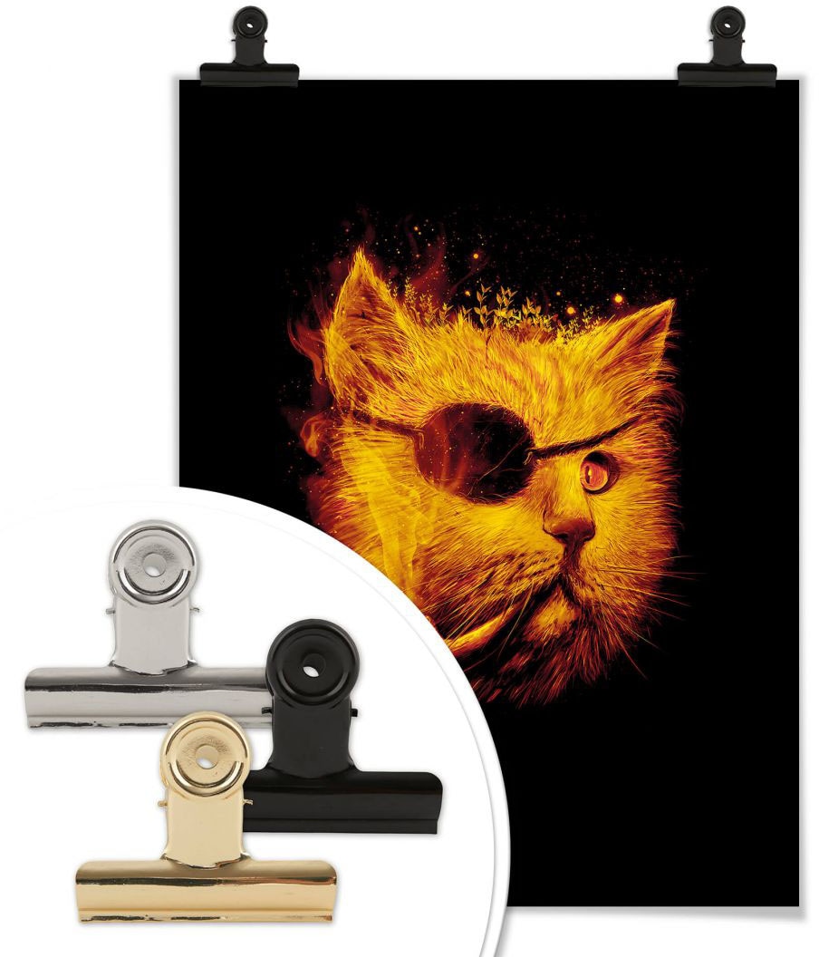 Wall-Art Poster »Katze Pirat Kater Dedektiv Schwarz«, Tiere, (1 St.), Poster,  Wandbild, Bild, Wandposter online shoppen | Jelmoli-Versand