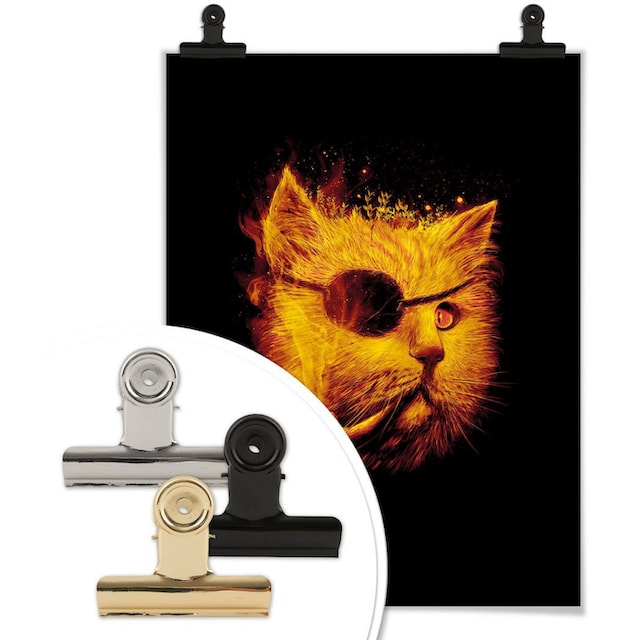 Jelmoli-Versand »Katze Bild, Wandbild, (1 Poster Tiere, online shoppen Wandposter Wall-Art Dedektiv Kater | St.), Pirat Poster, Schwarz«,