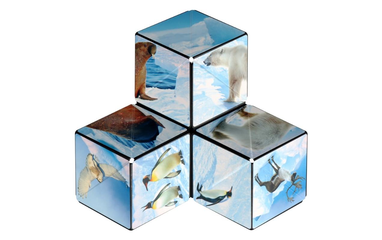 3D-Puzzle »Shashibo Cube Arctic«