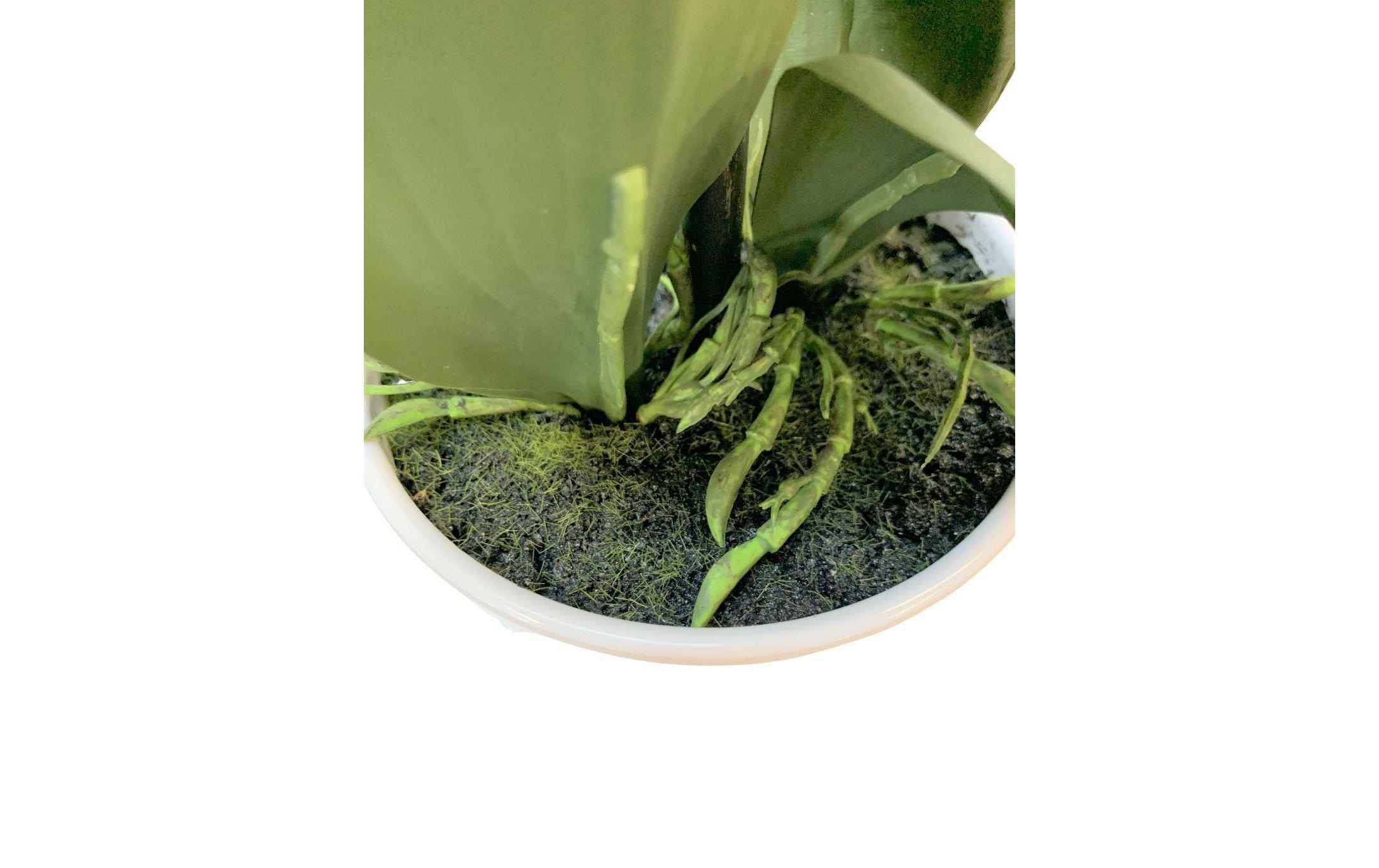 Botanic-Haus Kunstblume »Phalenopsis Topf 4 Rispen«