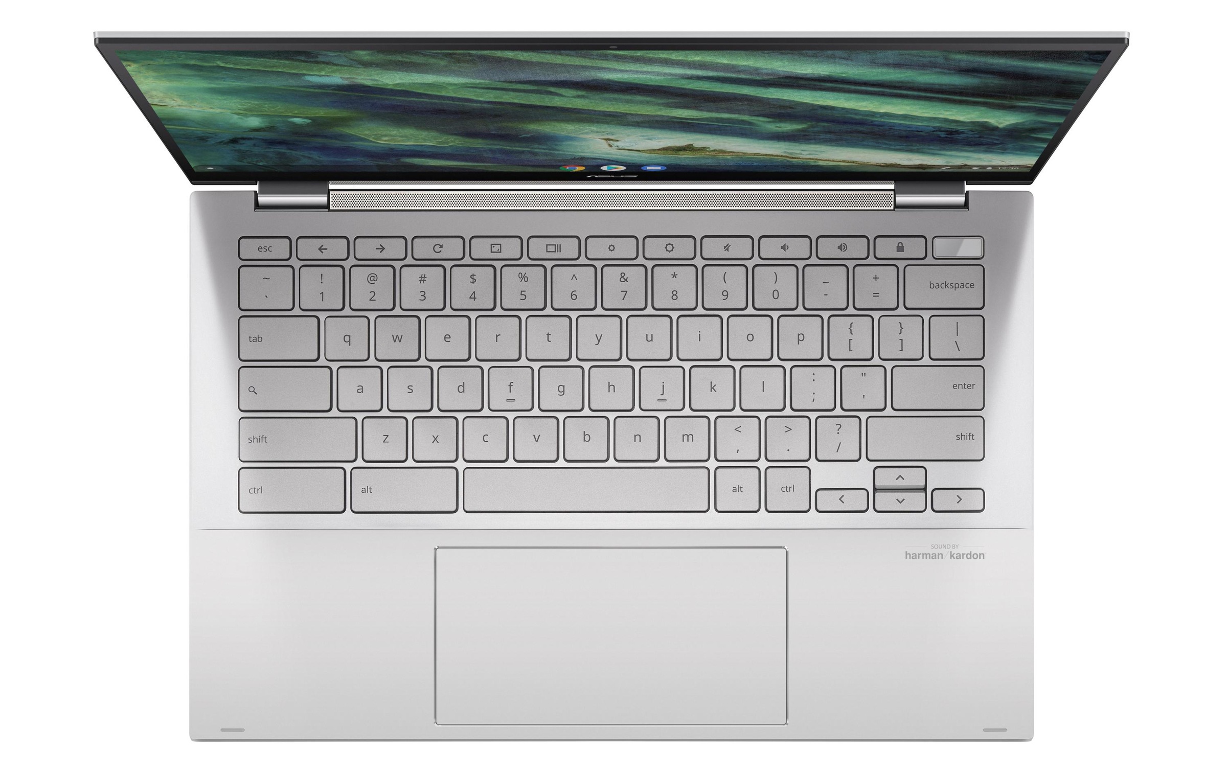 Asus Chromebook »Flip C436FA-E10221«, / 14 Zoll