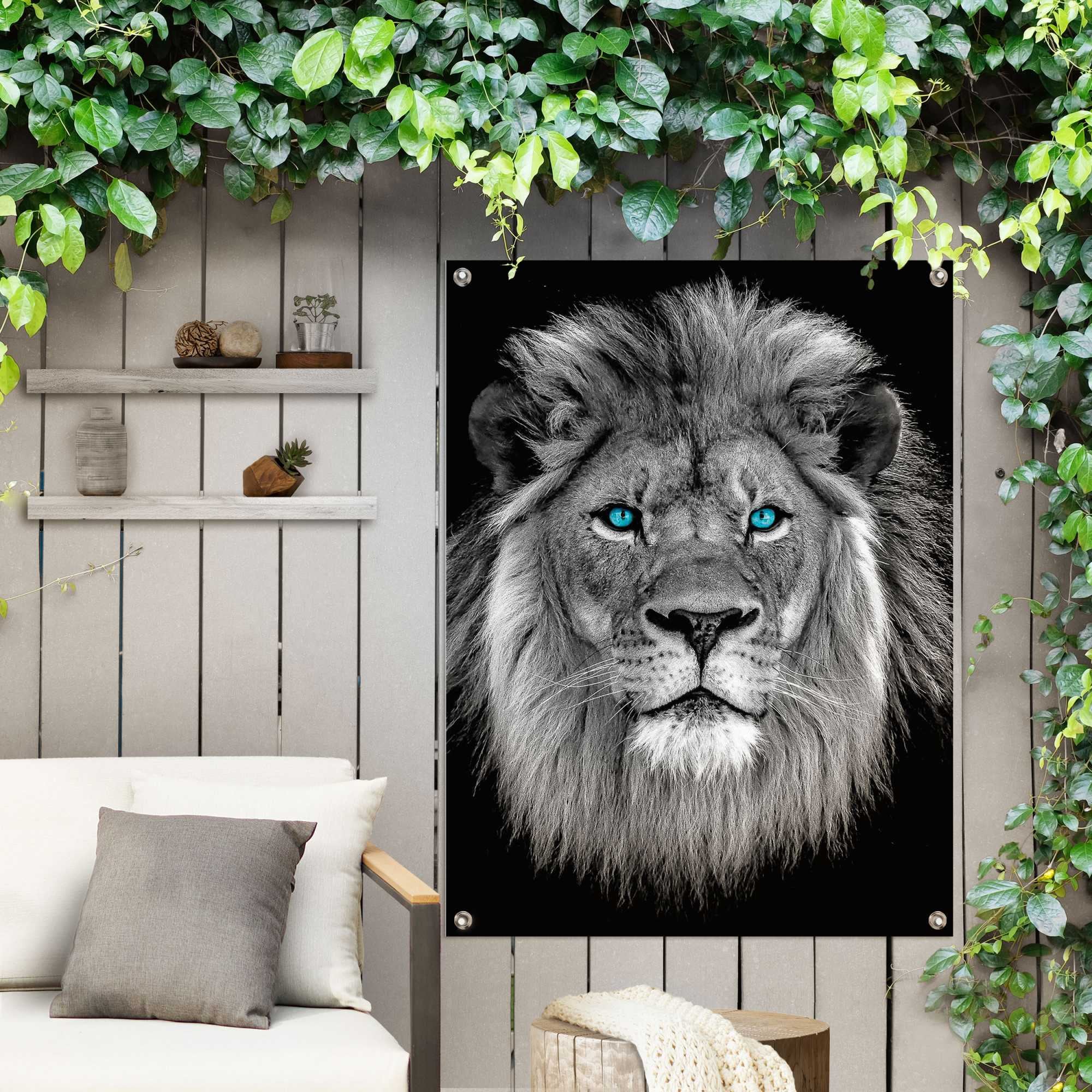 »Löwe mit blaue Poster Balkon oder Jelmoli-Versand Garten Reinders! online | für Outdoor Augen«, bestellen