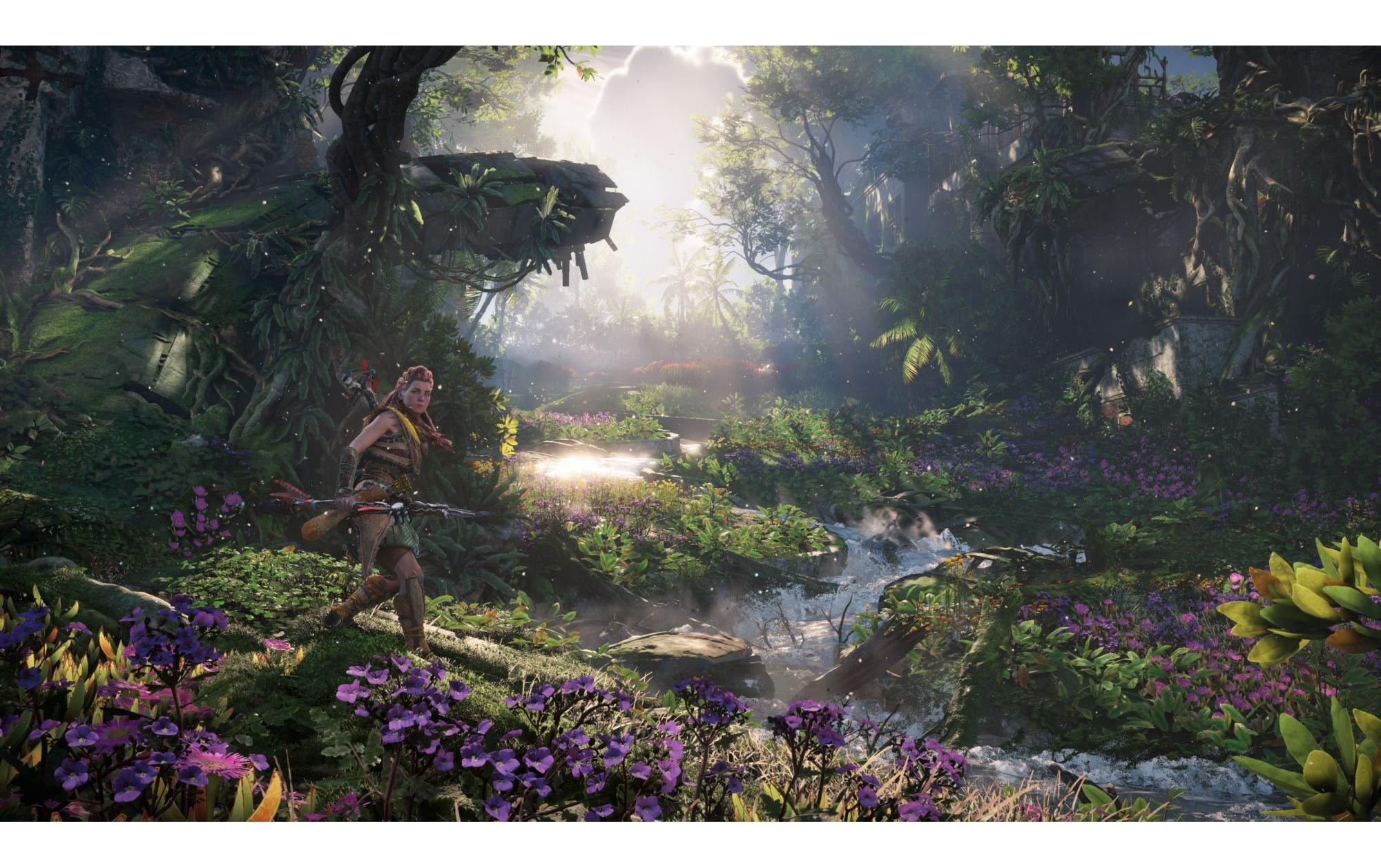 Sony Spielesoftware »Forbidden West, PS5«, PlayStation 5