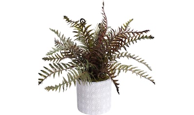 Creativ green Künstliche Zimmerpflanze »Dekokugel zum Hängen« online kaufen  | Jelmoli-Versand