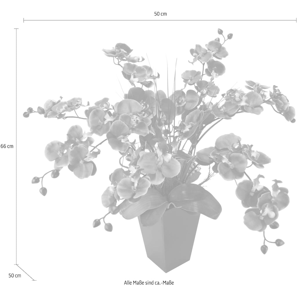 I.GE.A. Kunstpflanze »Phalaenopsis im Topf«