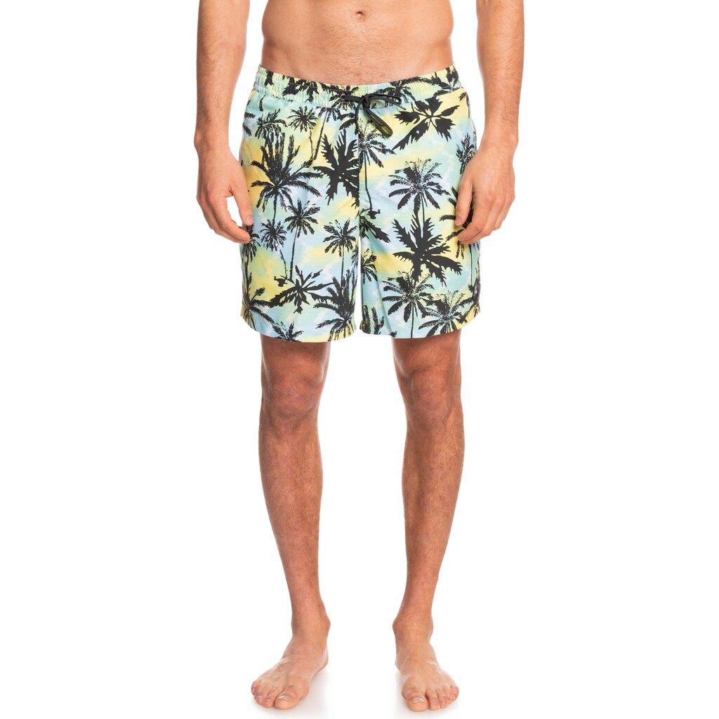 Quiksilver Badeshorts »Everyday Mix 17"«