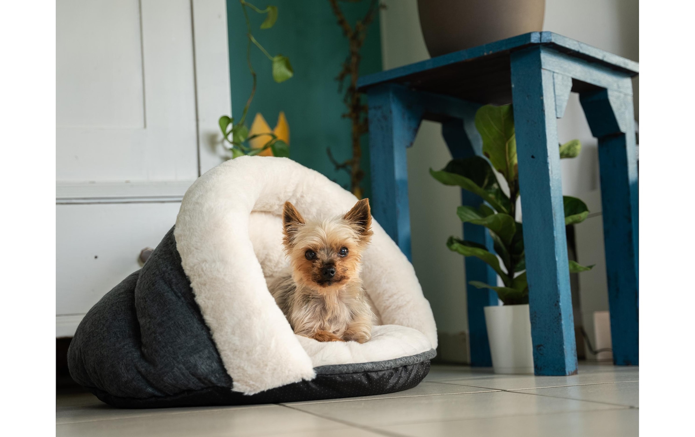 Tierbett »TrendPet LunaSuite beige«