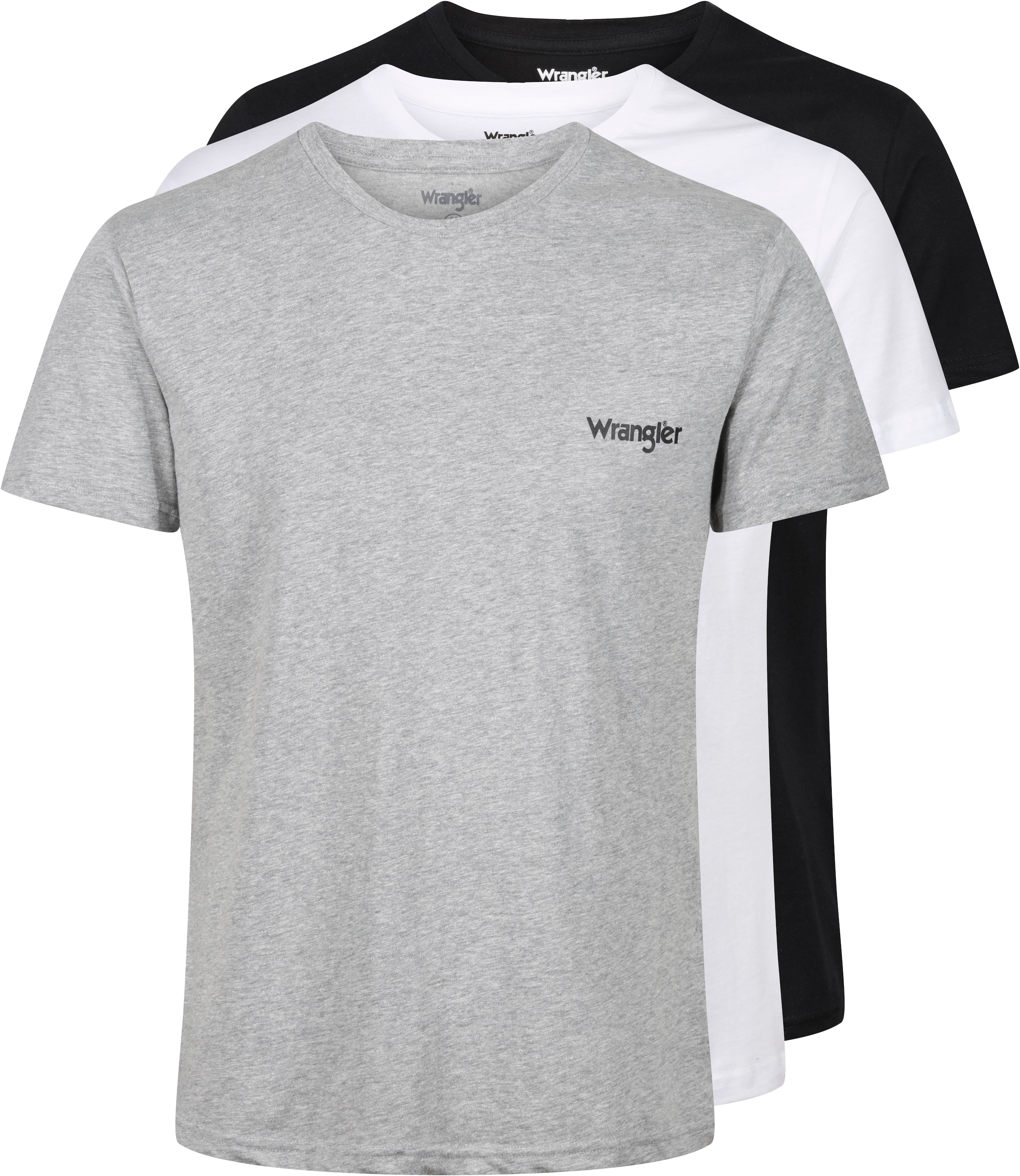T-Shirt »"Foster"«, mit Logoschriftzug und Rundhalsausschnitt