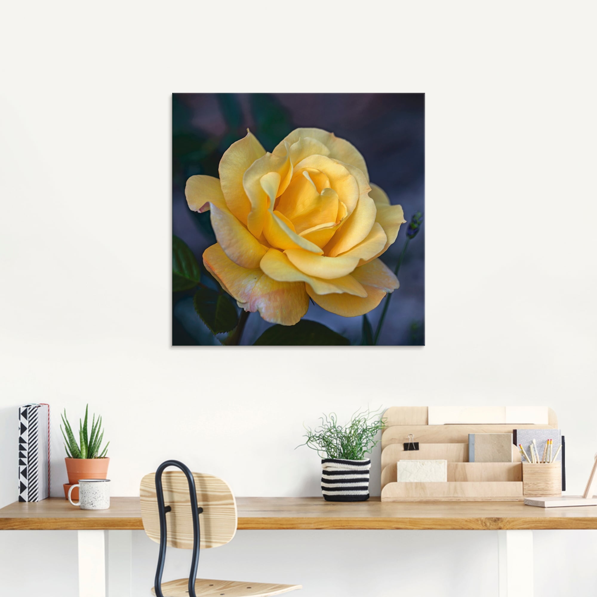Artland Glasbild »Gelbe Rose«, Blumen, Jelmoli-Versand online kaufen (1 Grössen verschiedenen in St.), 