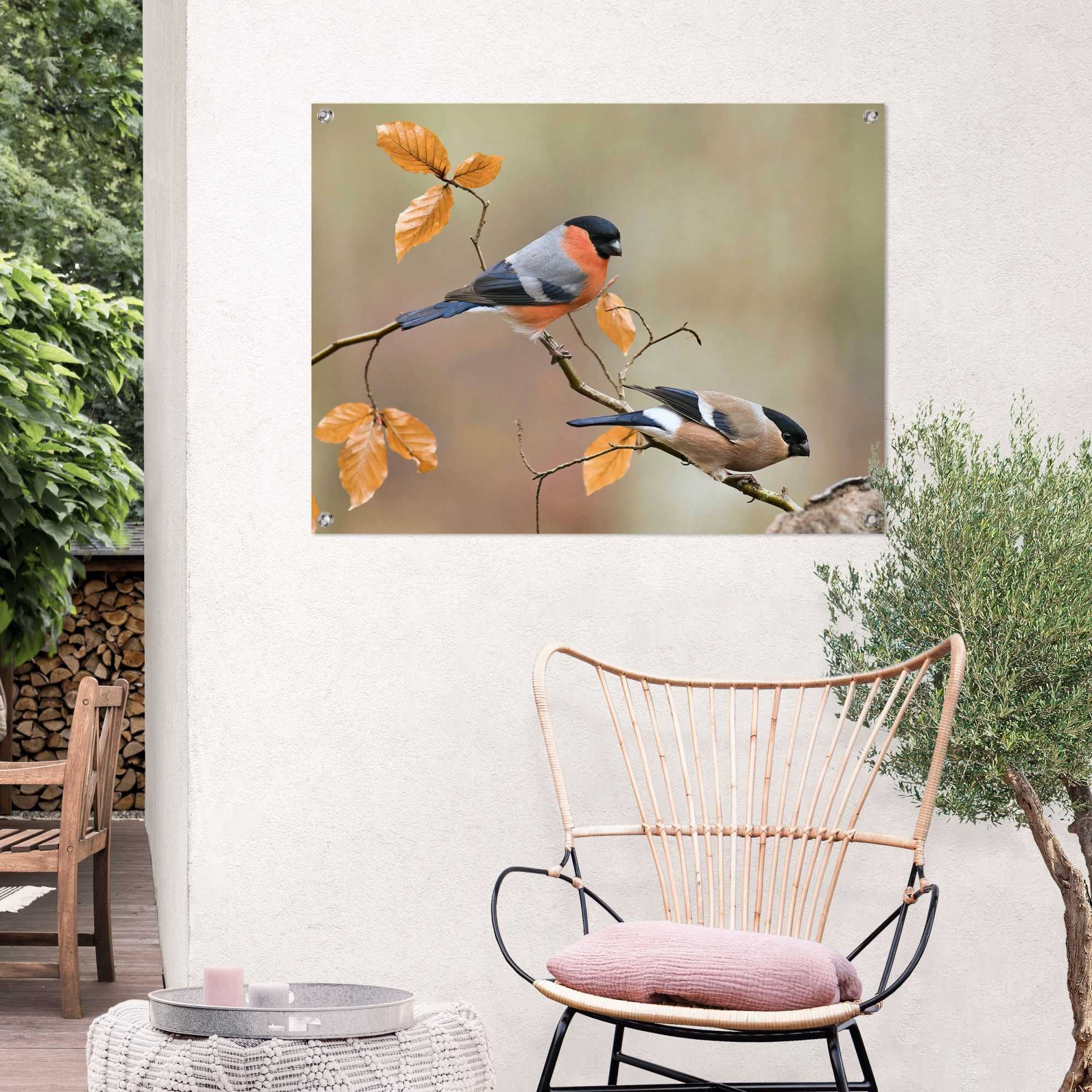 Reinders! Poster »Gimpel«, Outdoor für Garten oder Balkon