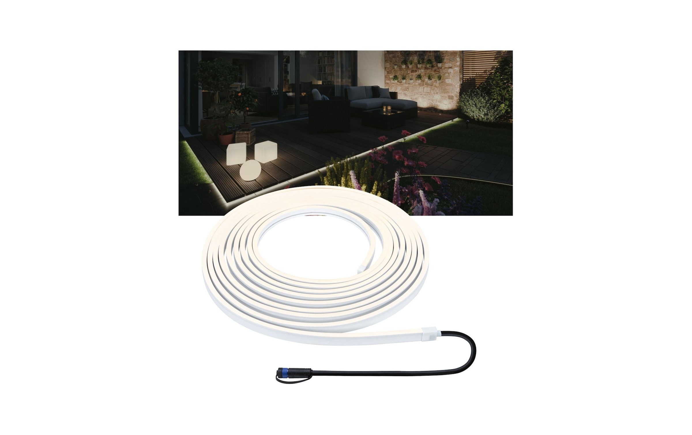 Paulmann LED-Streifen »Plug Sm« | online Shine & Jelmoli-Versand bestellen