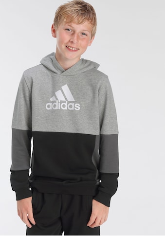 adidas Sportswear Sweatshirt »COLOURBLOCK HOODIE« kaufen