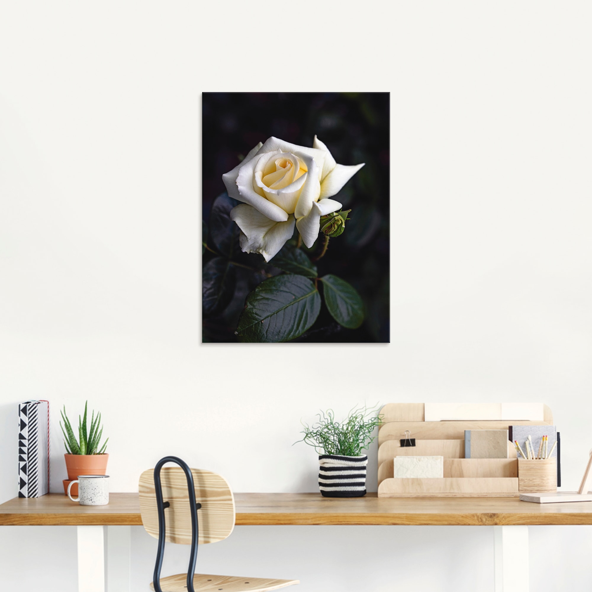 Artland Glasbild »Weiss-gelbe Rose«, Blumen, (1 St.), in verschiedenen Grössen