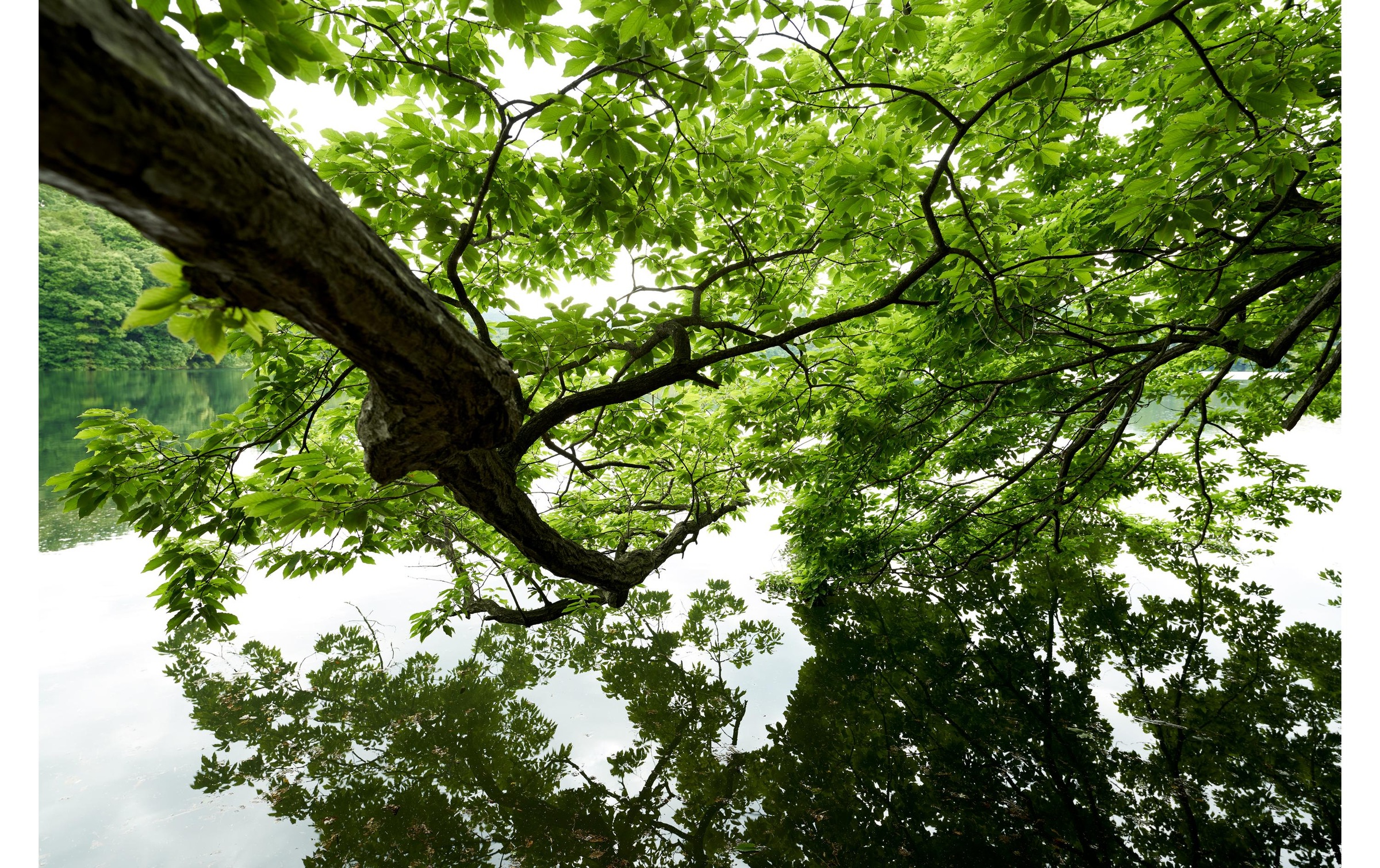 SIGMA Zoomobjektiv »14-24mm f / 2.8 SO E-Mount«