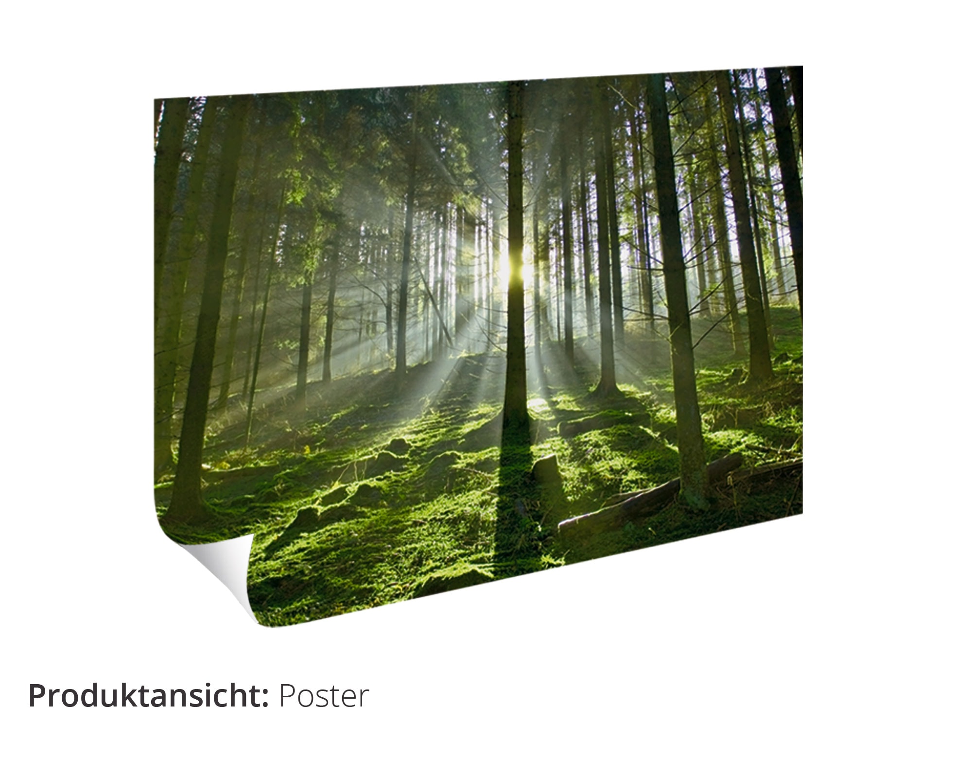 Artland Wandbild »Sonnenuntergang am Mittelmeer«, Strand, (1 St.), als Leinwandbild, Poster, Wandaufkleber in verschied. Grössen