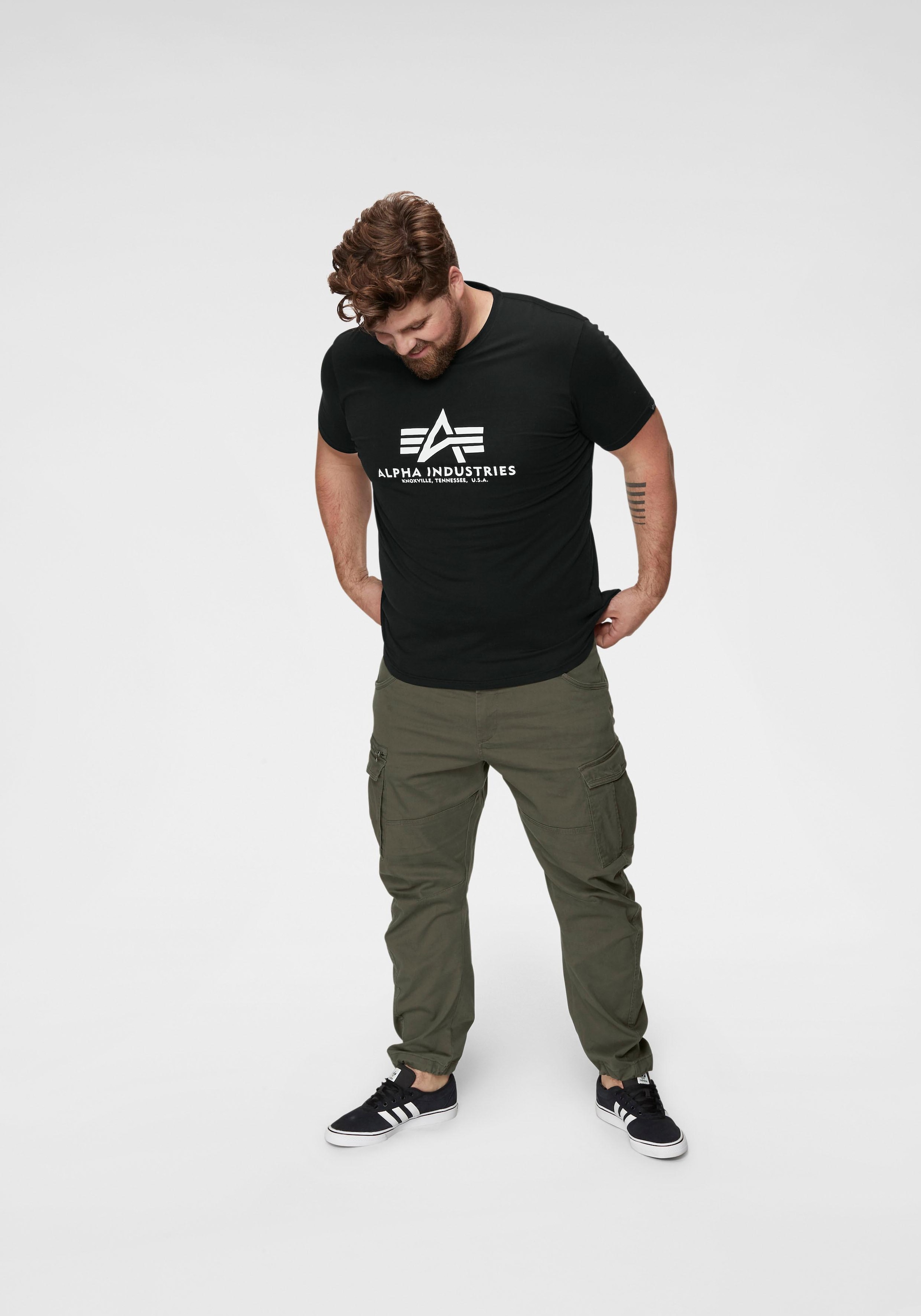 Alpha Industries T-Shirt »Basic T-Shirt«