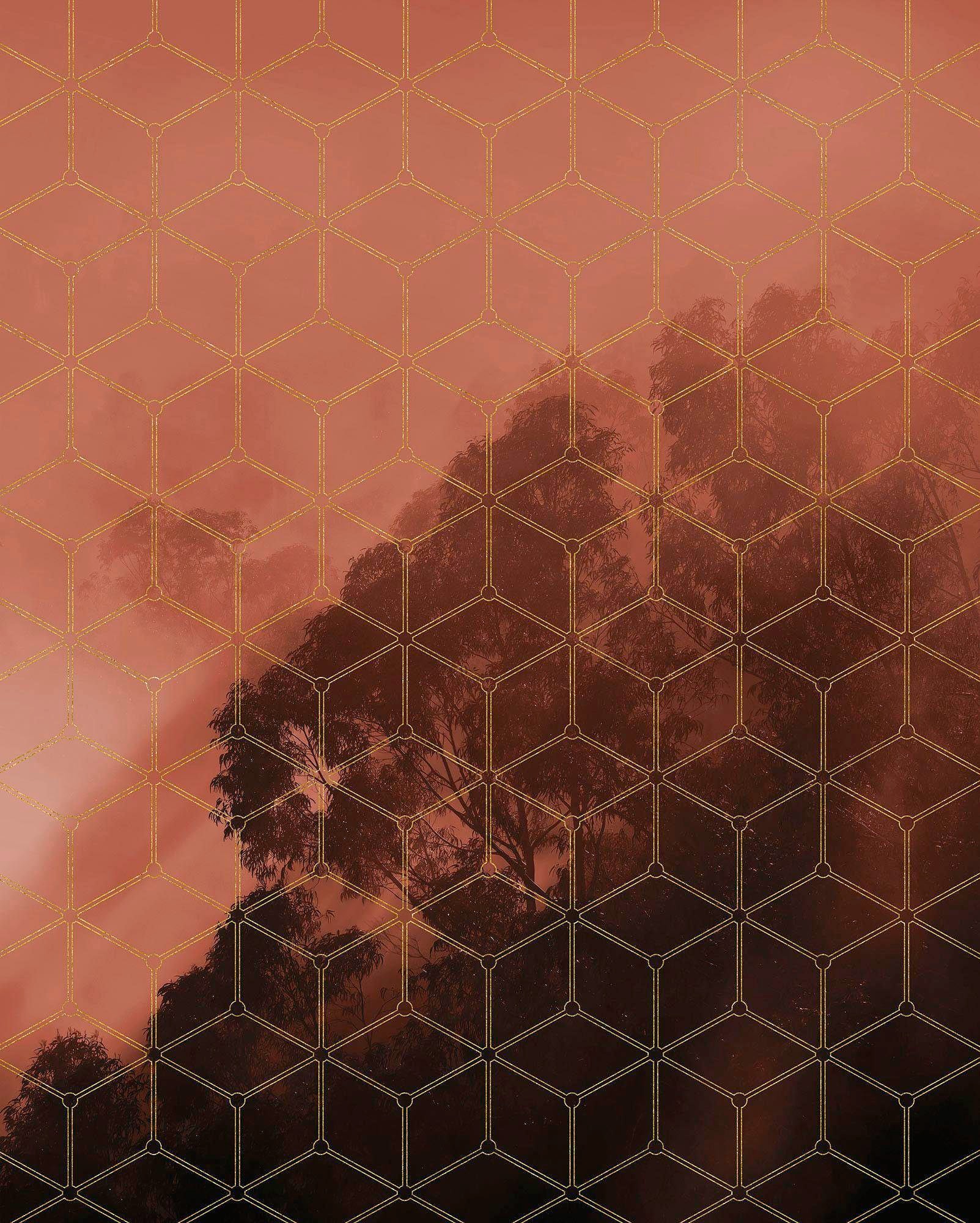 ❤ Komar Vliestapete »Golden Grid«, Bahnbreite entdecken 100 cm im Shop Vliestapete, 200x250 cm x Jelmoli-Online Höhe), (Breite