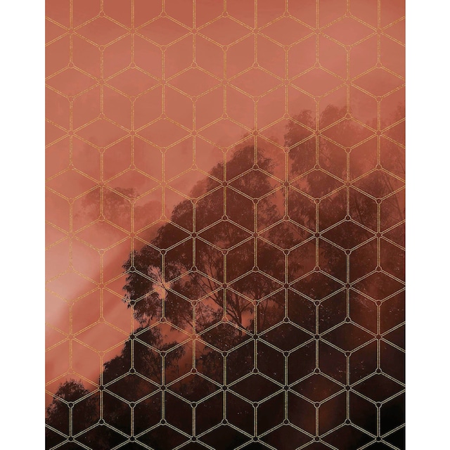 ❤ Komar Vliestapete »Golden Grid«, 200x250 cm (Breite x Höhe), Vliestapete,  100 cm Bahnbreite entdecken im Jelmoli-Online Shop