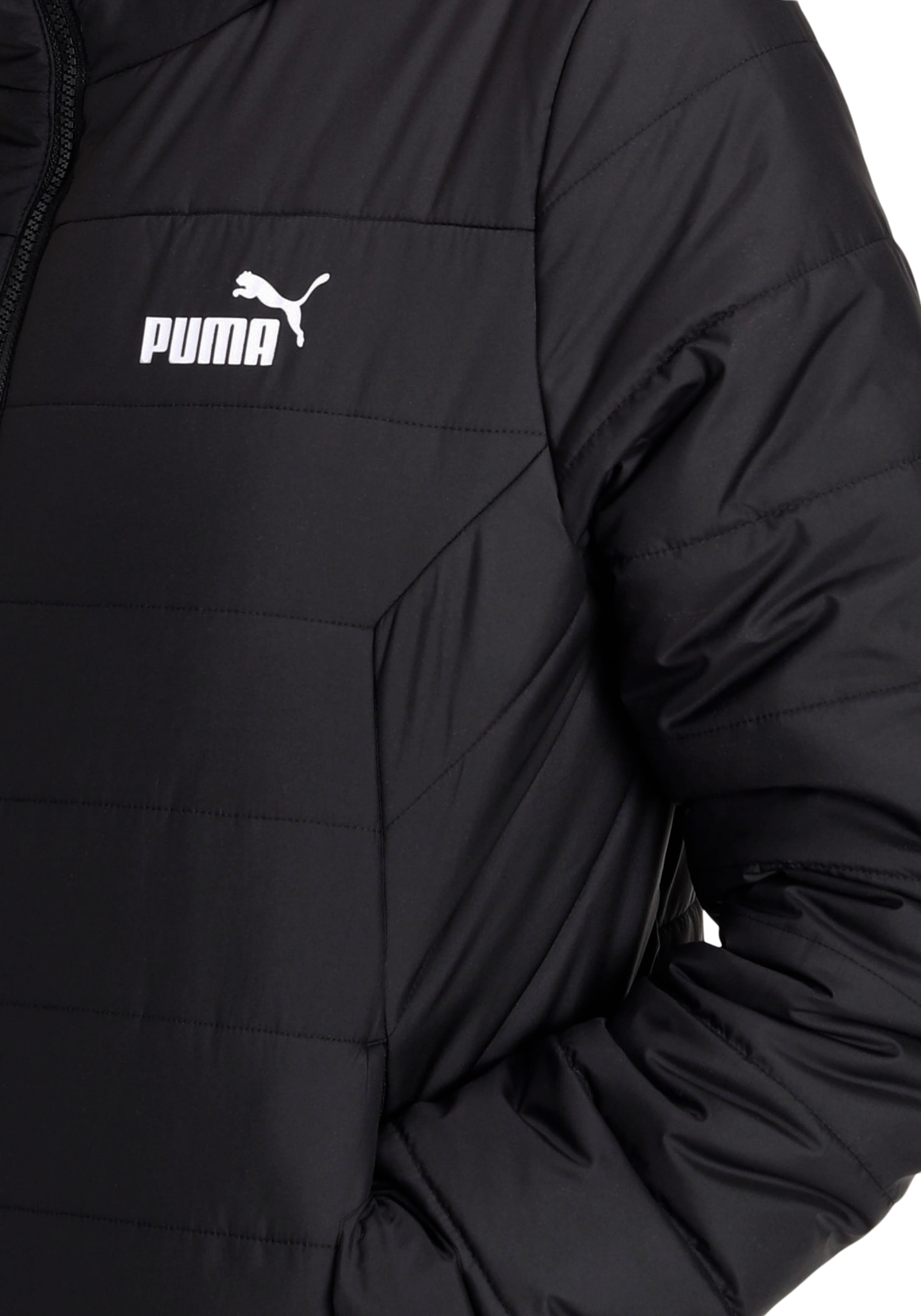 PUMA Winterjacke »ESS HOODED PADDED JACKET«, mit Kapuze online kaufen bei  Jelmoli-Versand Schweiz