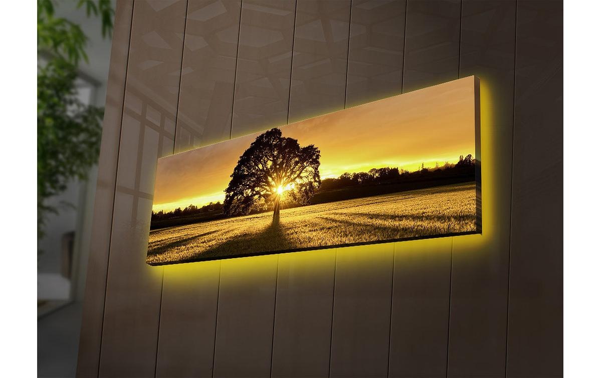 Wandbild »Wallxpert Tree«, Baum
