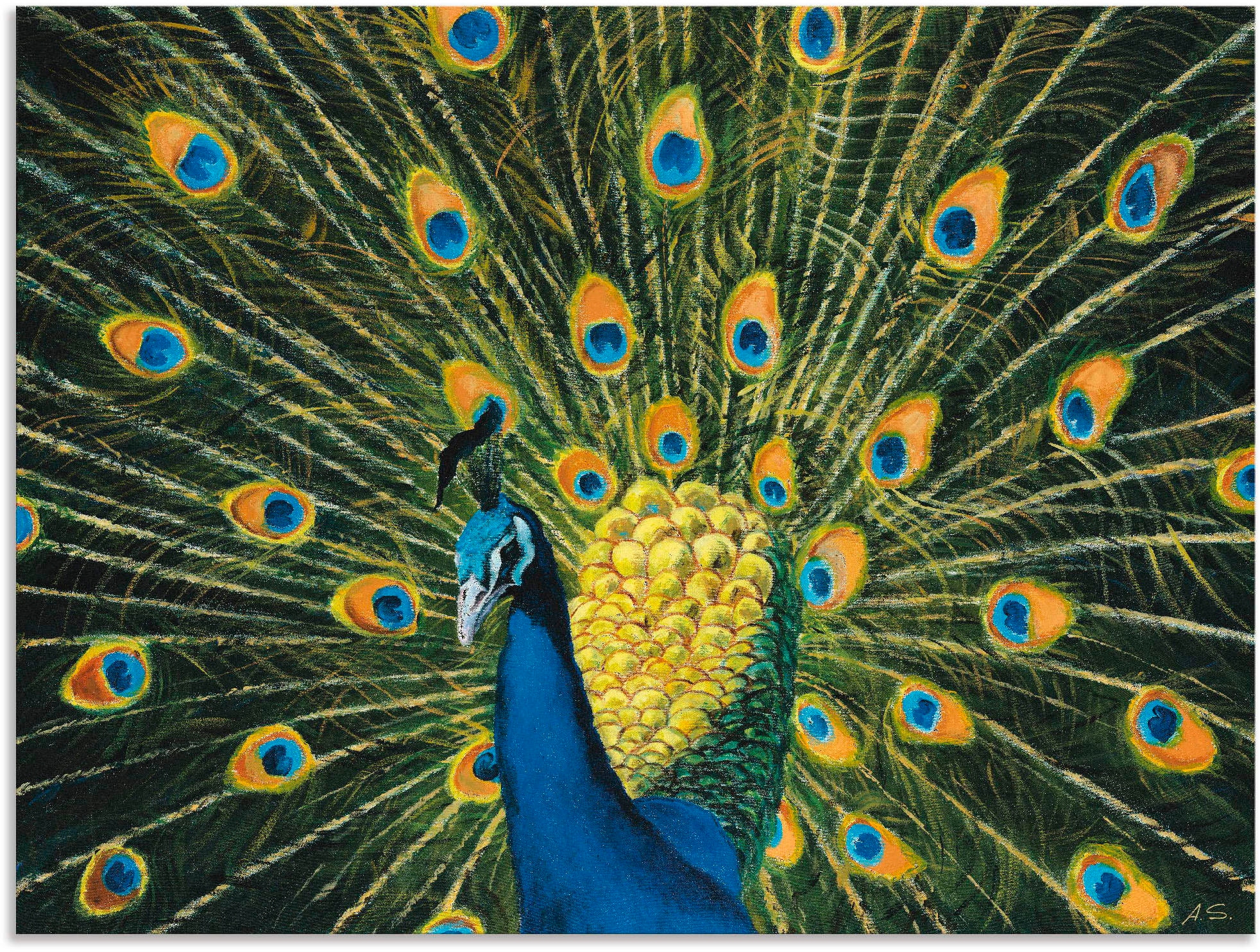 versch. Wandaufkleber Vögel, | Grössen Jelmoli-Versand als Poster oder »Pfau«, in Leinwandbild, St.), Wandbild (1 Alubild, online Artland bestellen