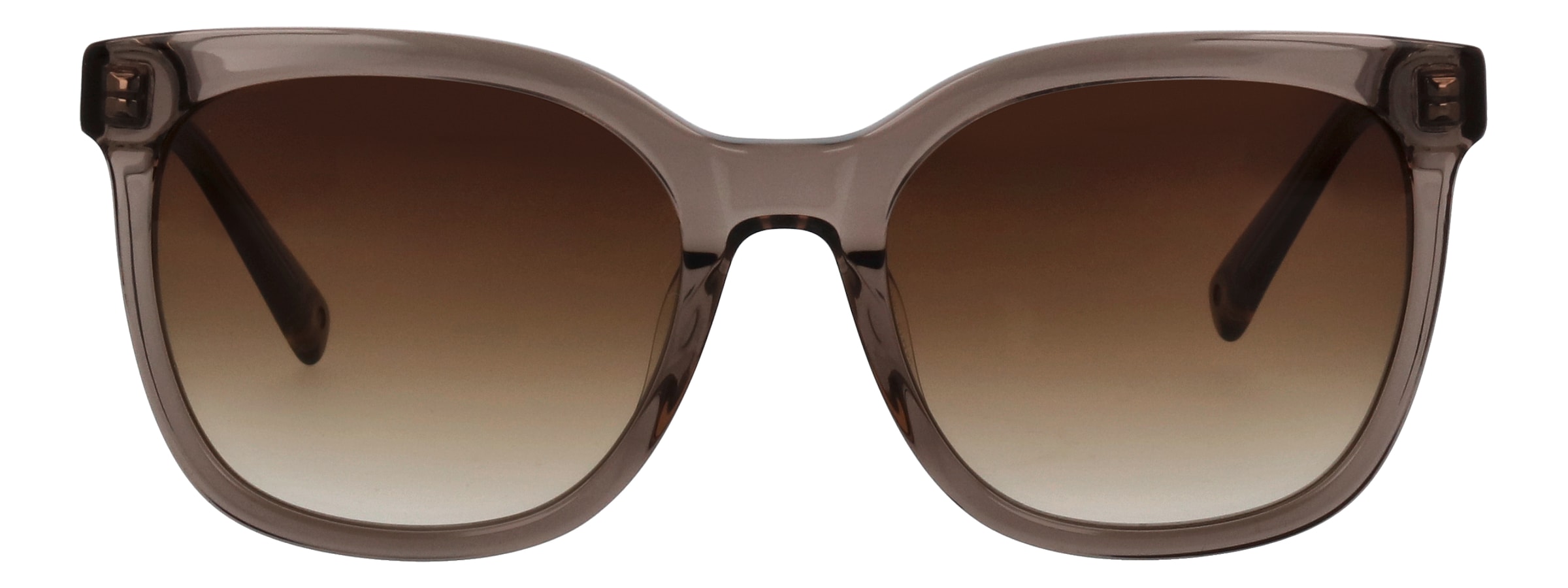 BRENDEL eyewear Sonnenbrille »906196«, Form Karree/Eckig, farbigen Akzenten am Bügel, adc uv 400