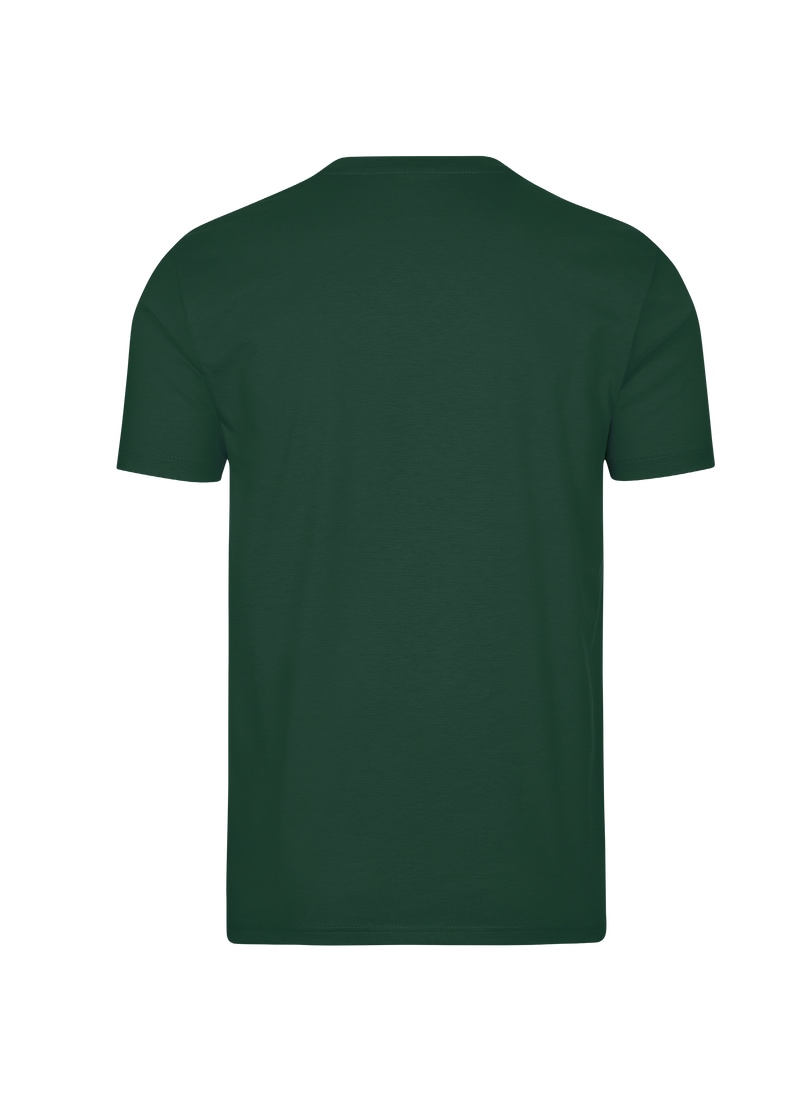 Trigema T-Shirt »TRIGEMA V-Shirt DELUXE Baumwolle« Jelmoli-Versand online shoppen 