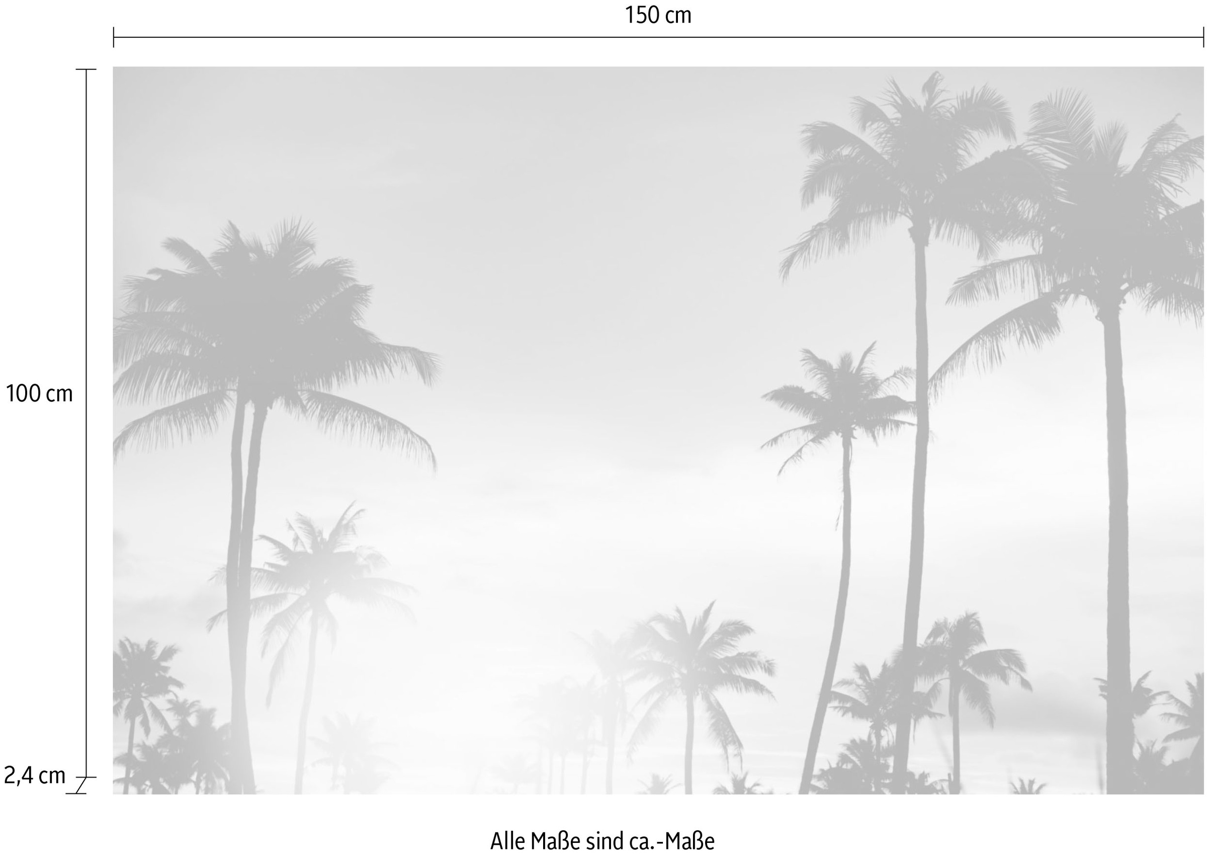 Shop »Palmen queence im Sonnenuntergang« Acrylglasbild ordern im ❤ Jelmoli-Online