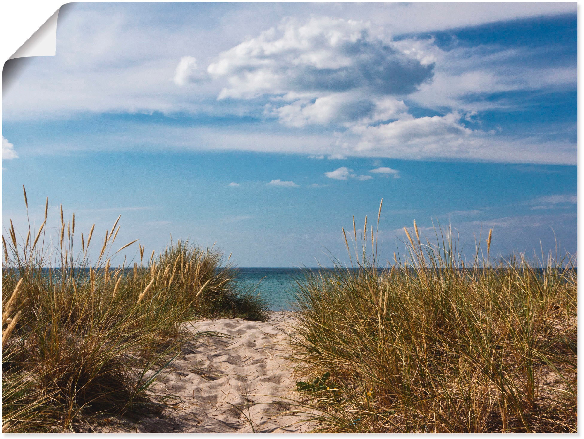 Wandaufkleber versch. Strand, Grössen Alubild, »Ostseestrand St.), (1 als Leinwandbild, in in oder kaufen | Artland Jelmoli-Versand Wandbild Dänemark«, online Poster
