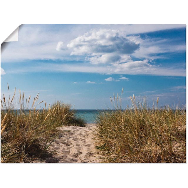 Strand, Dänemark«, Leinwandbild, kaufen Alubild, Grössen St.), Jelmoli-Versand »Ostseestrand als Artland | in Wandbild Poster versch. oder (1 in Wandaufkleber online