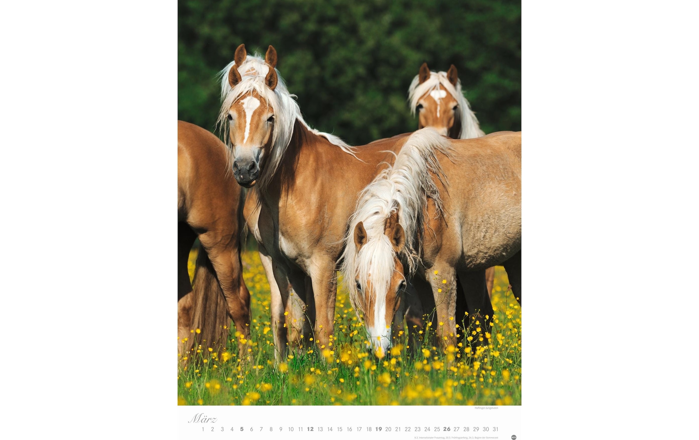 HEYE Wandkalender »Pferde Classics Poste«