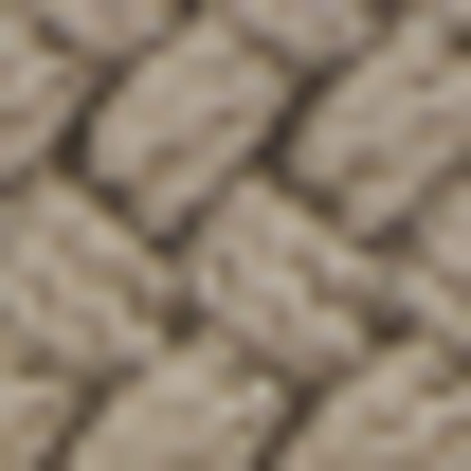 BOSS Flechtgürtel »Clorio«, mit BOSS Logo-Schriftzug auf der Schliesse und Leder-Schlaufe