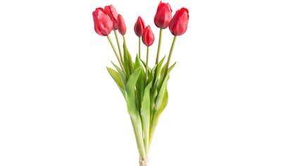 Botanic-Haus Kunstblume »Tulpenbündel« online bestellen | Jelmoli-Versand