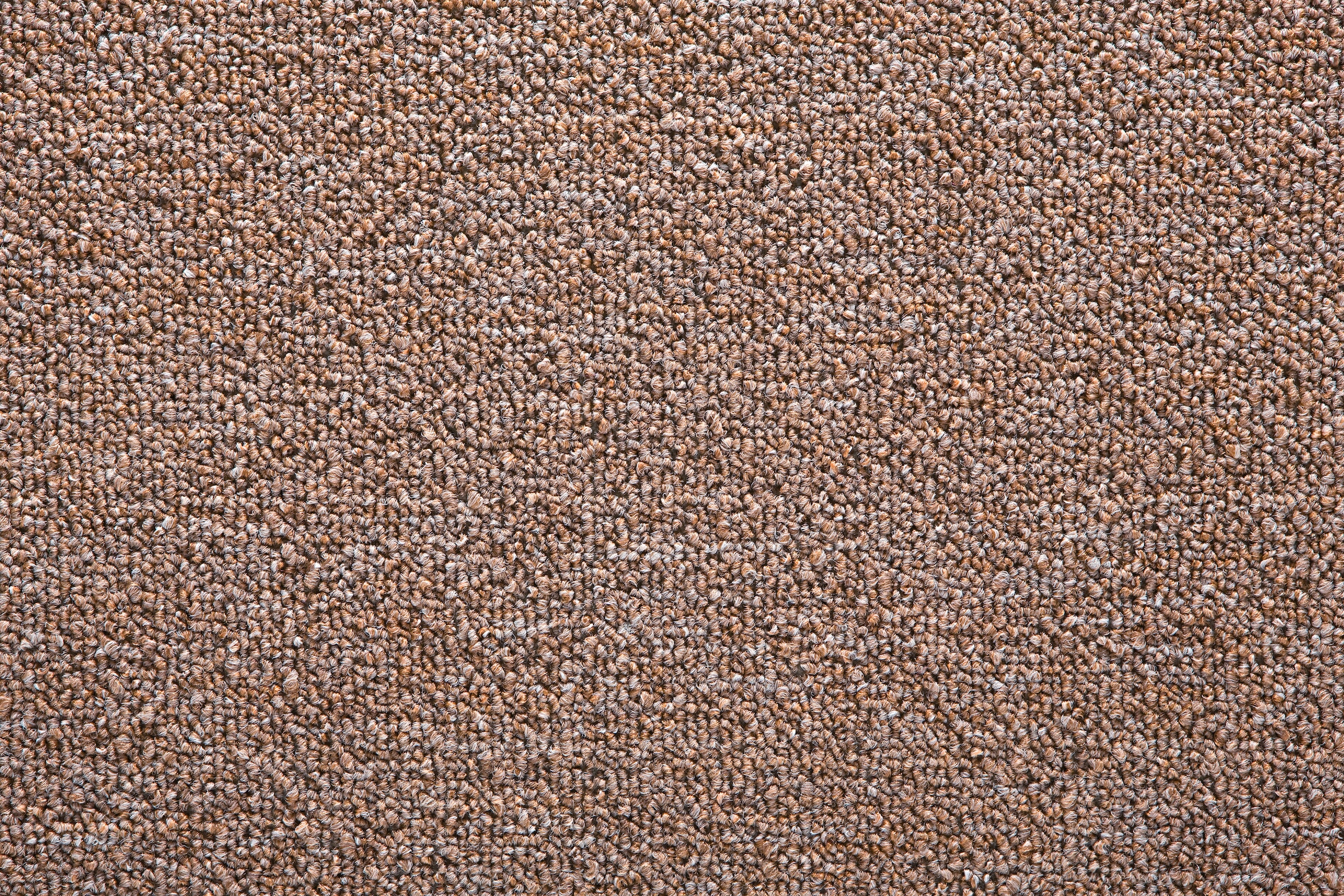 Teppichboden »Bob«, rechteckig, 4 mm Höhe, Festmass, 500x400 cm, feine Schlinge,...