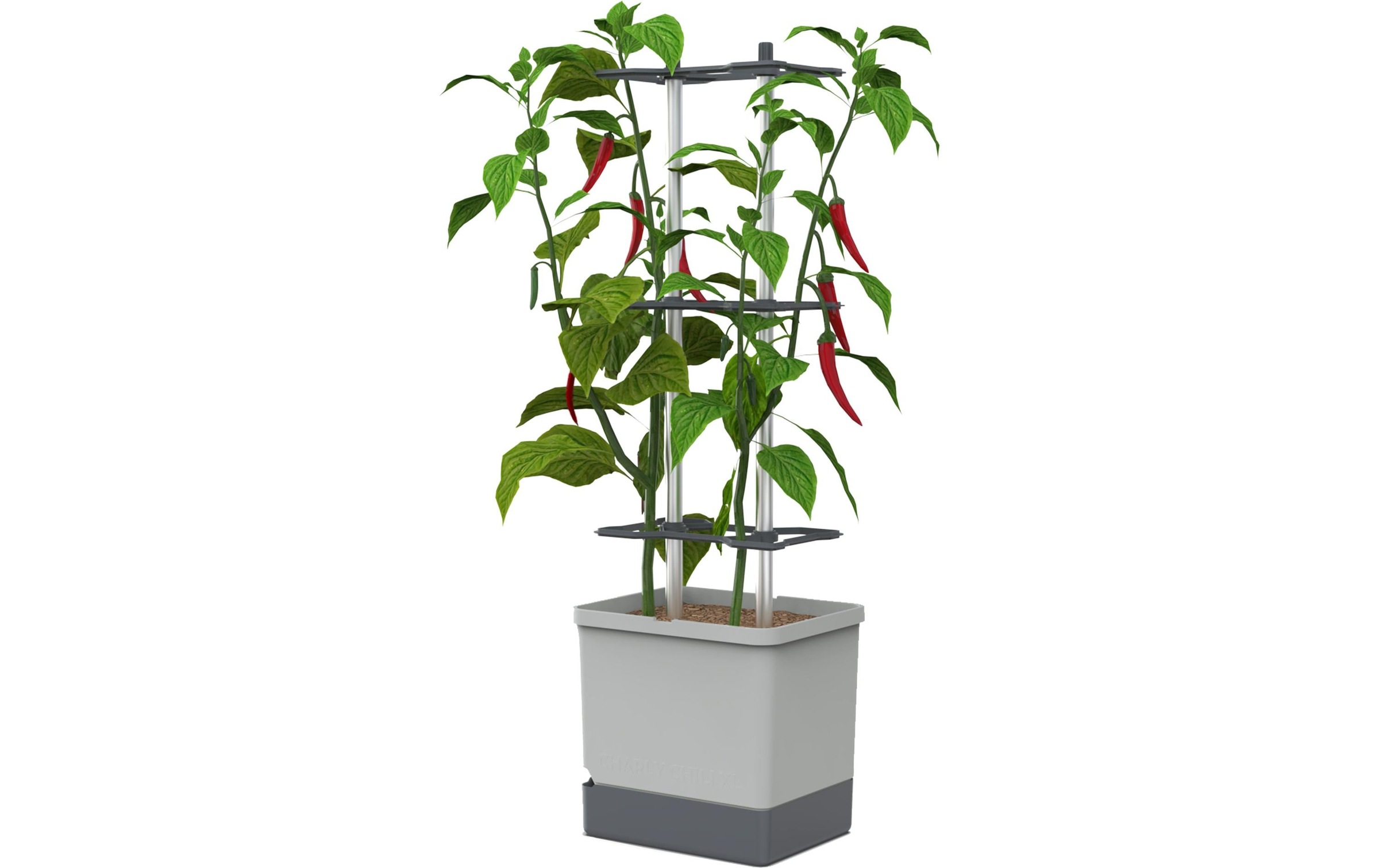Gusta Garden Anzuchttopf "Charly Chili XL"