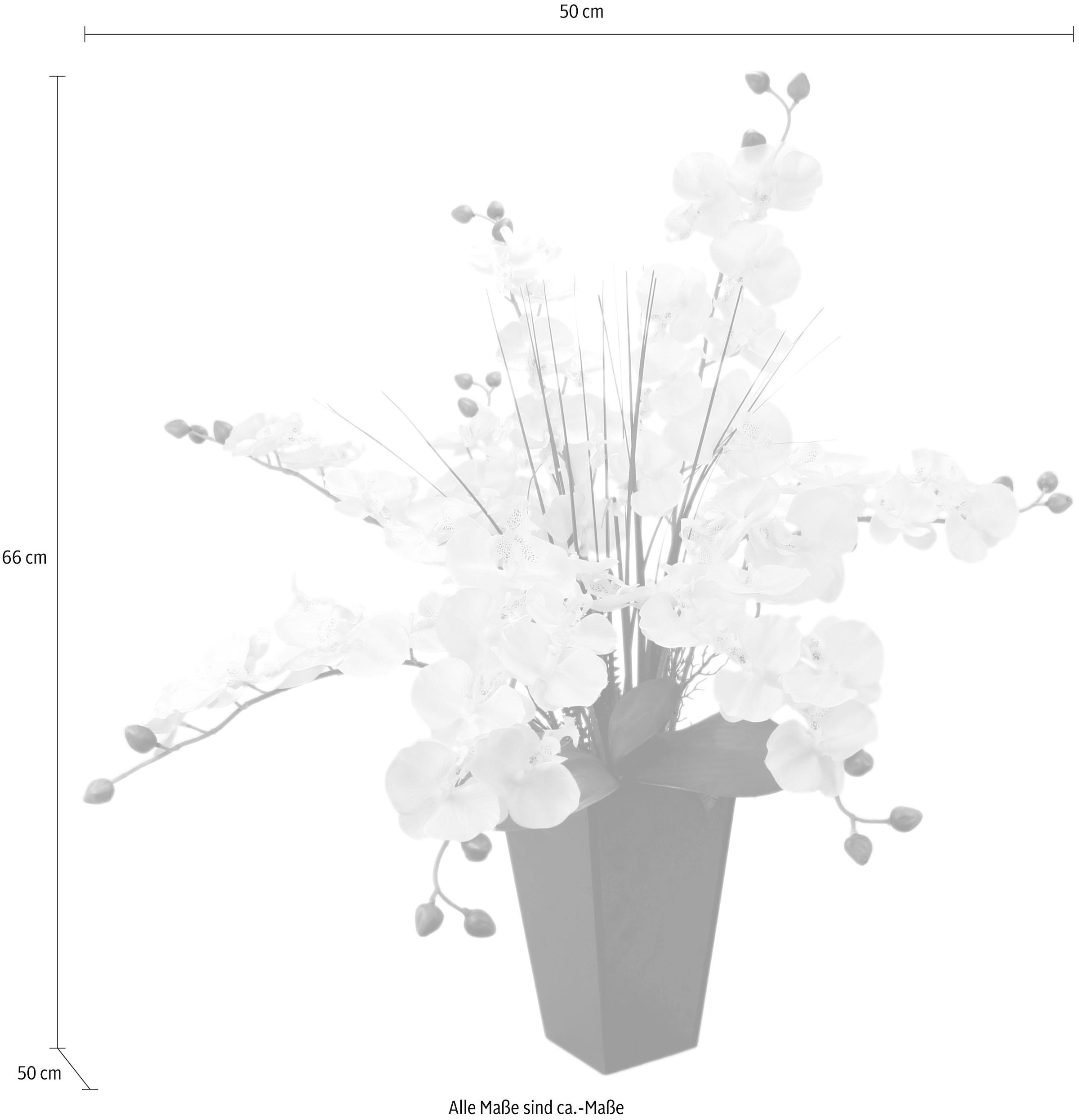 I.GE.A. Kunstpflanze »Phalaenopsis im Topf«