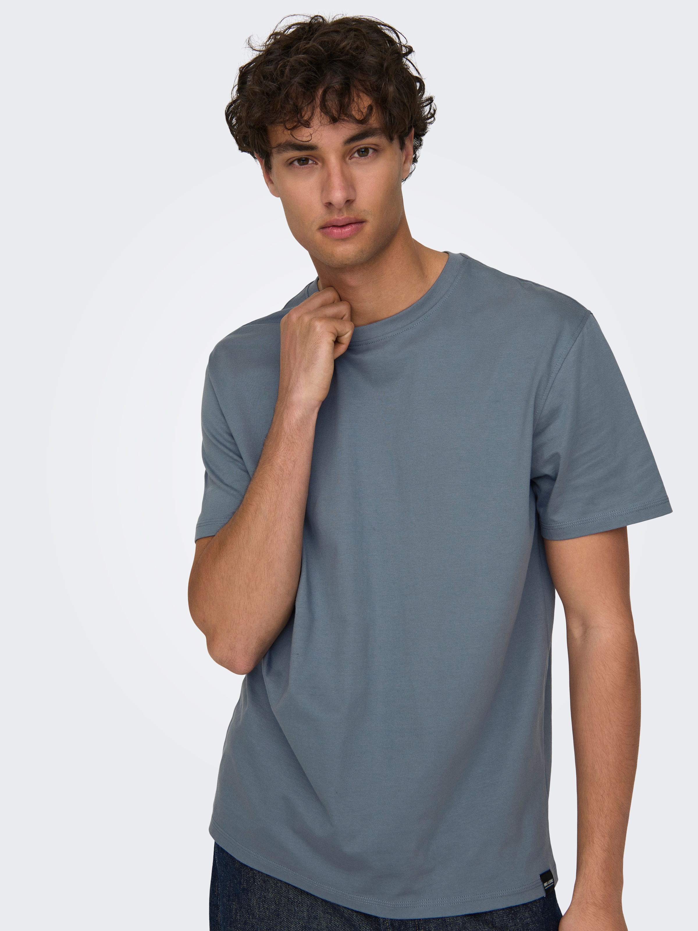 ONLY & SONS Rundhalsshirt »ONSMAX LIFE REG SS STITCH TEE«