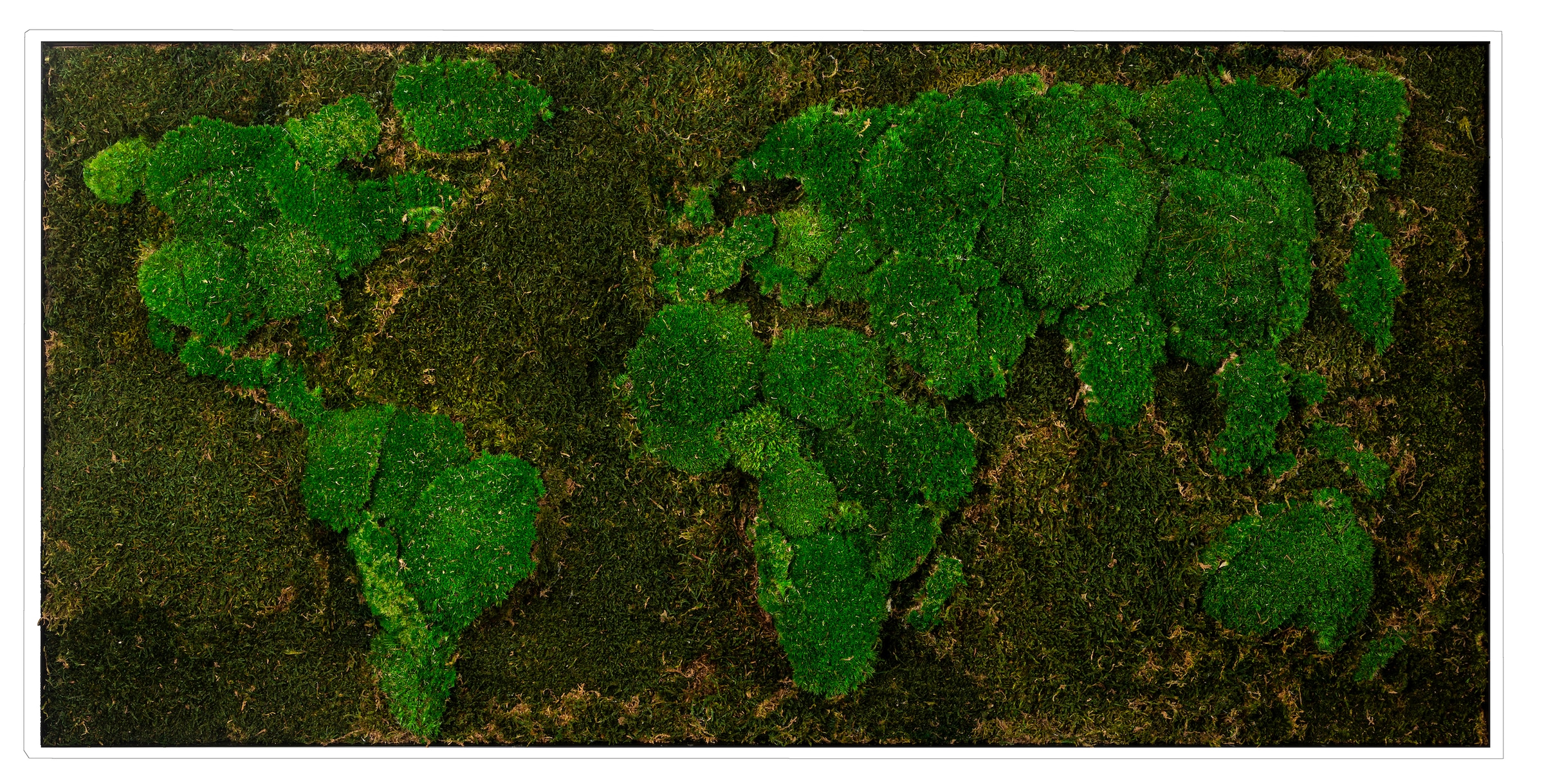 Bönninghoff Bild mit Rahmen Bild (1 ein St.), jedes Jelmoli-Versand online BxH: 120x60 | cm shoppen »Moos«, Unikat, Weltkarte